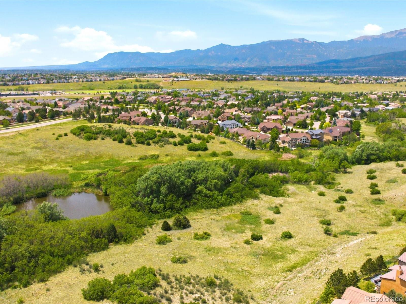 9959  Rose Leaf Court, colorado springs&nbsp; House Search MLS Picture