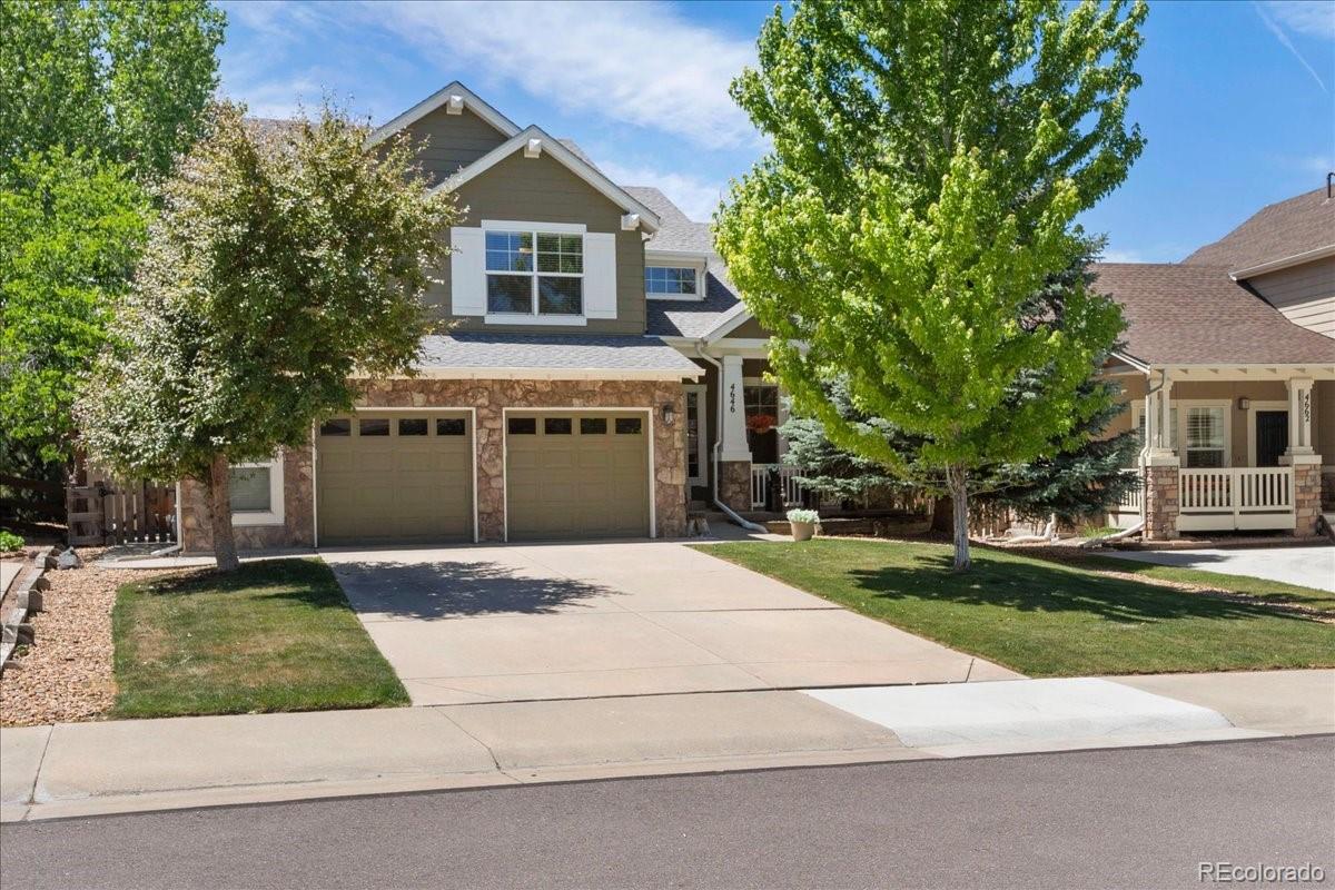 4646  Sunridge Terrace Drive, castle rock&nbsp; House Search MLS Picture