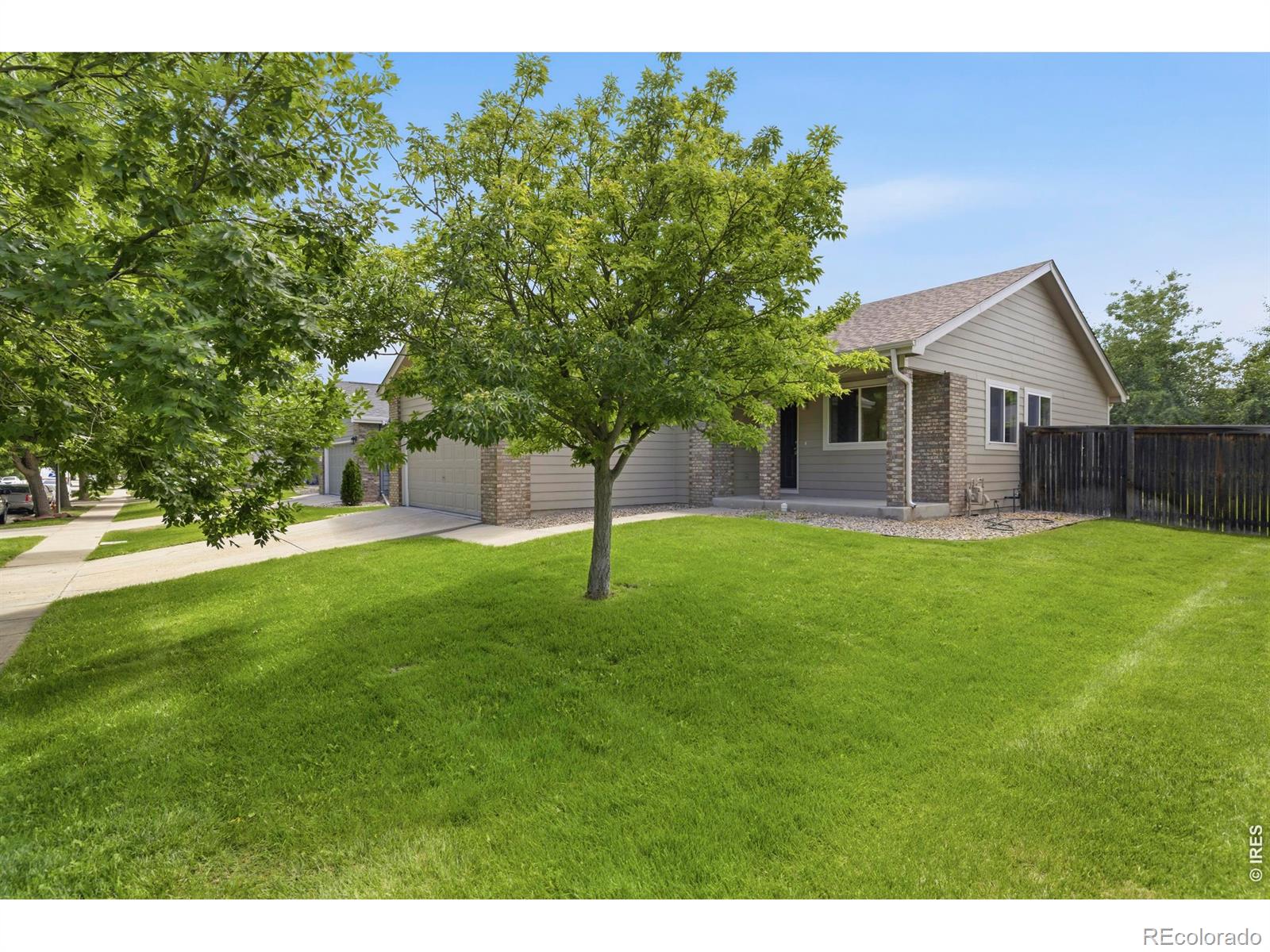 593  Lavastone Avenue, loveland&nbsp; House Search MLS Picture