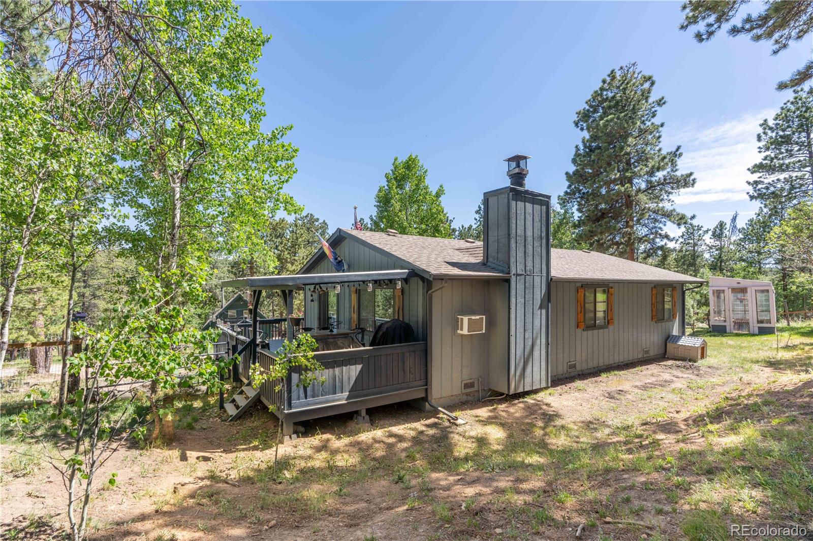 conifer&nbsp; House Search Picture
