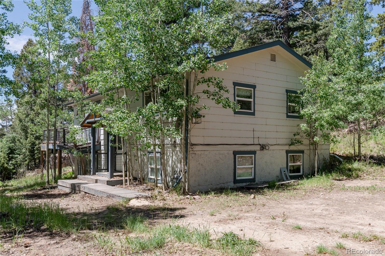 conifer&nbsp; House Search Picture