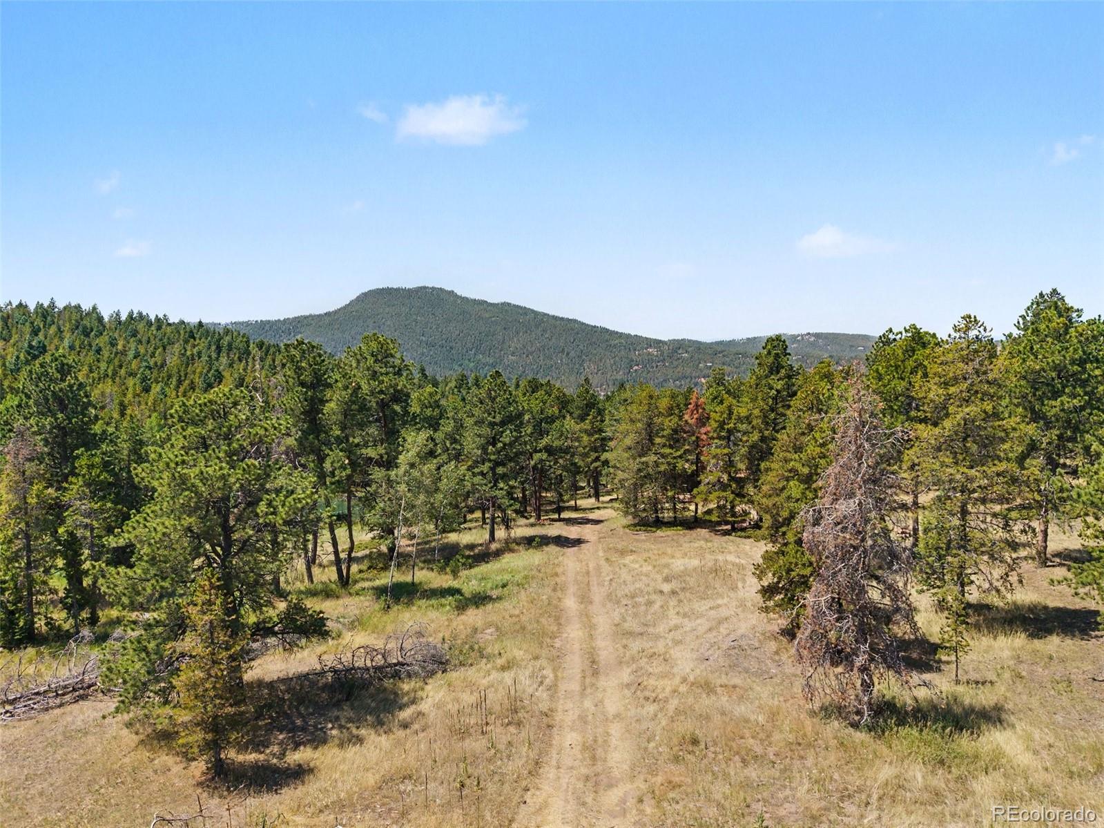 23300  Pleasant Park Road, conifer&nbsp; House Search MLS Picture