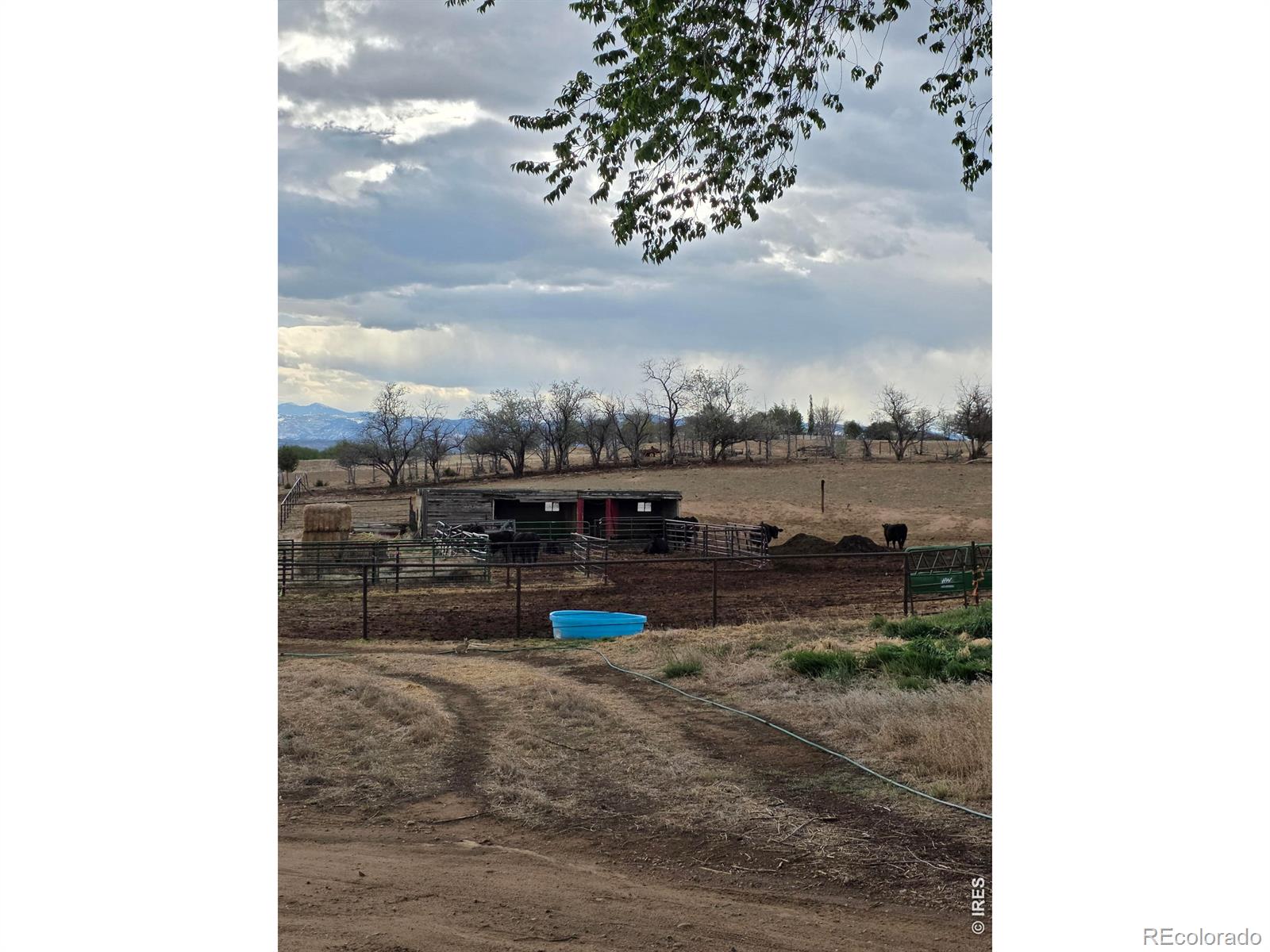 20219  County Road 3 , berthoud&nbsp; House Search MLS Picture