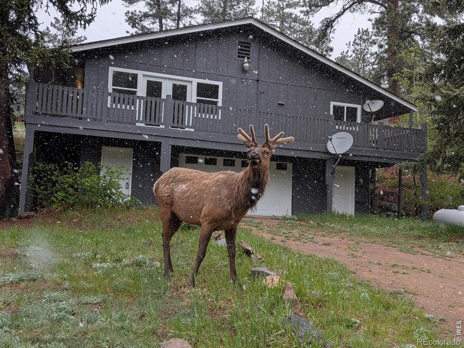 glen haven&nbsp; House Search Picture