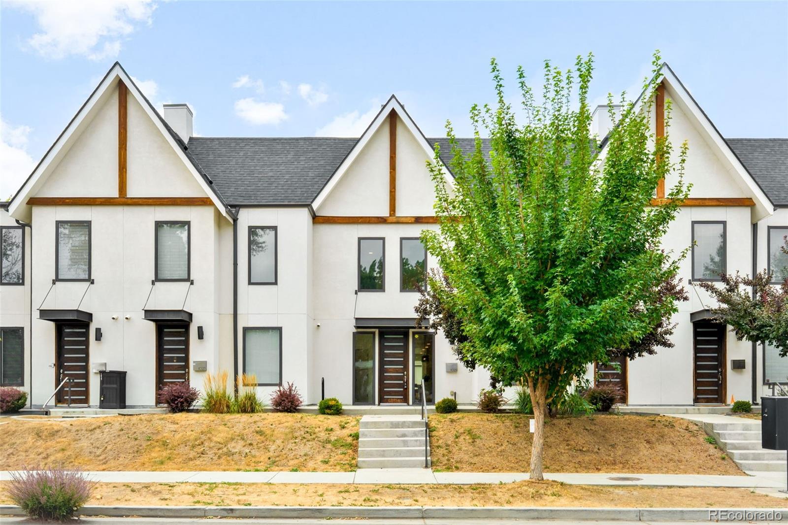 1029  Julian Street, denver&nbsp; House Search MLS Picture