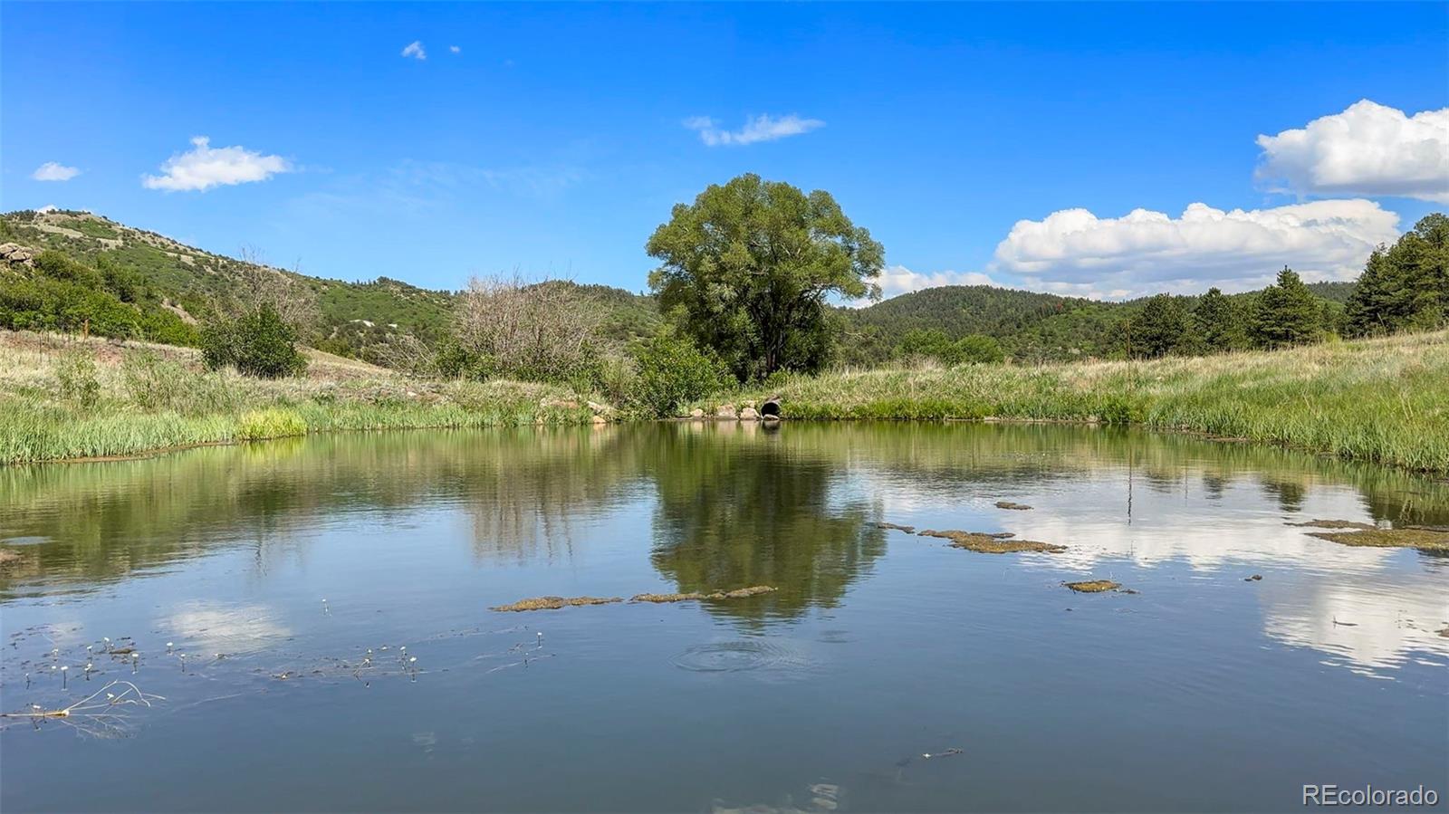 400  Bear Trax Drive, canon city&nbsp; House Search MLS Picture