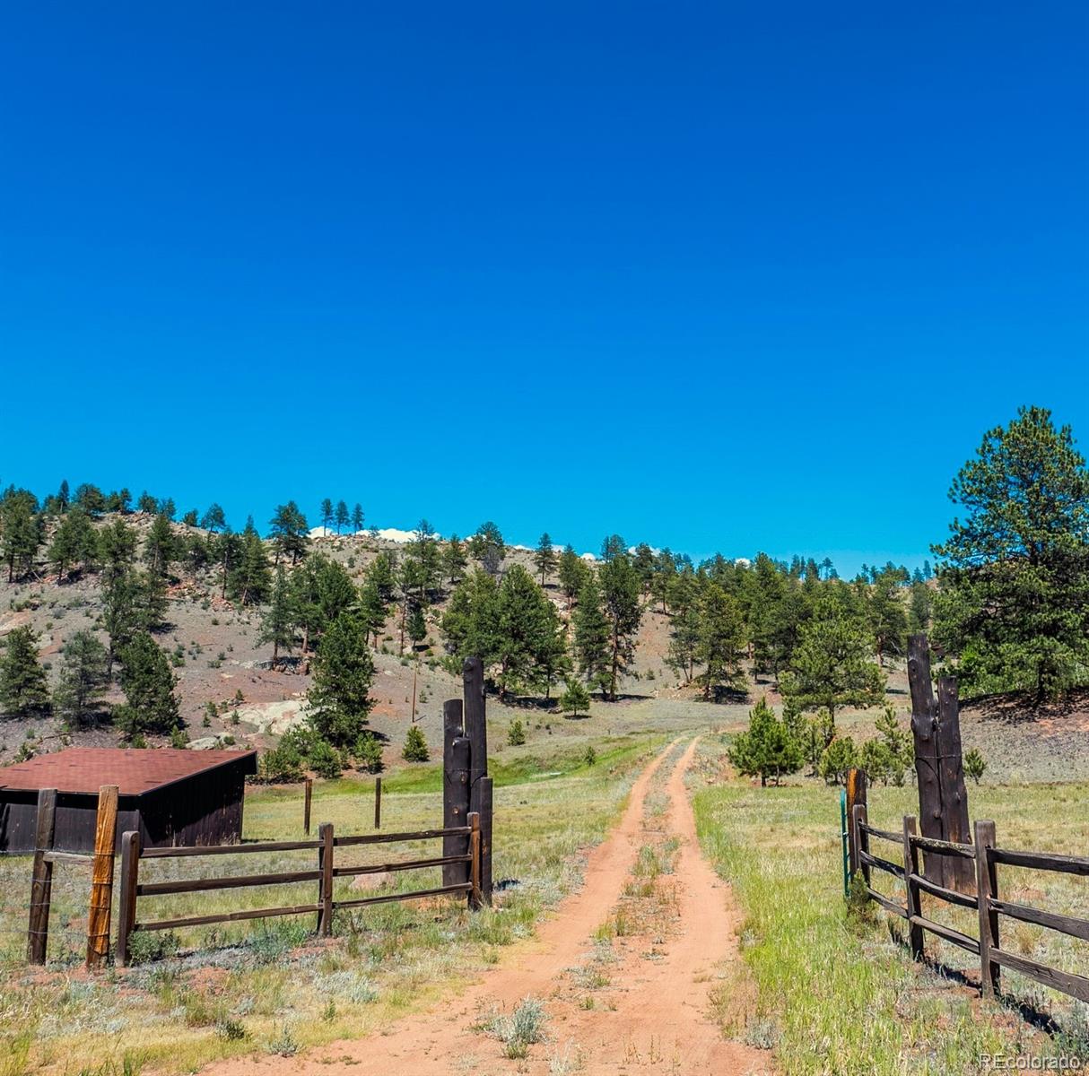 146  Toms Ranch Road, lake george&nbsp; House Search MLS Picture