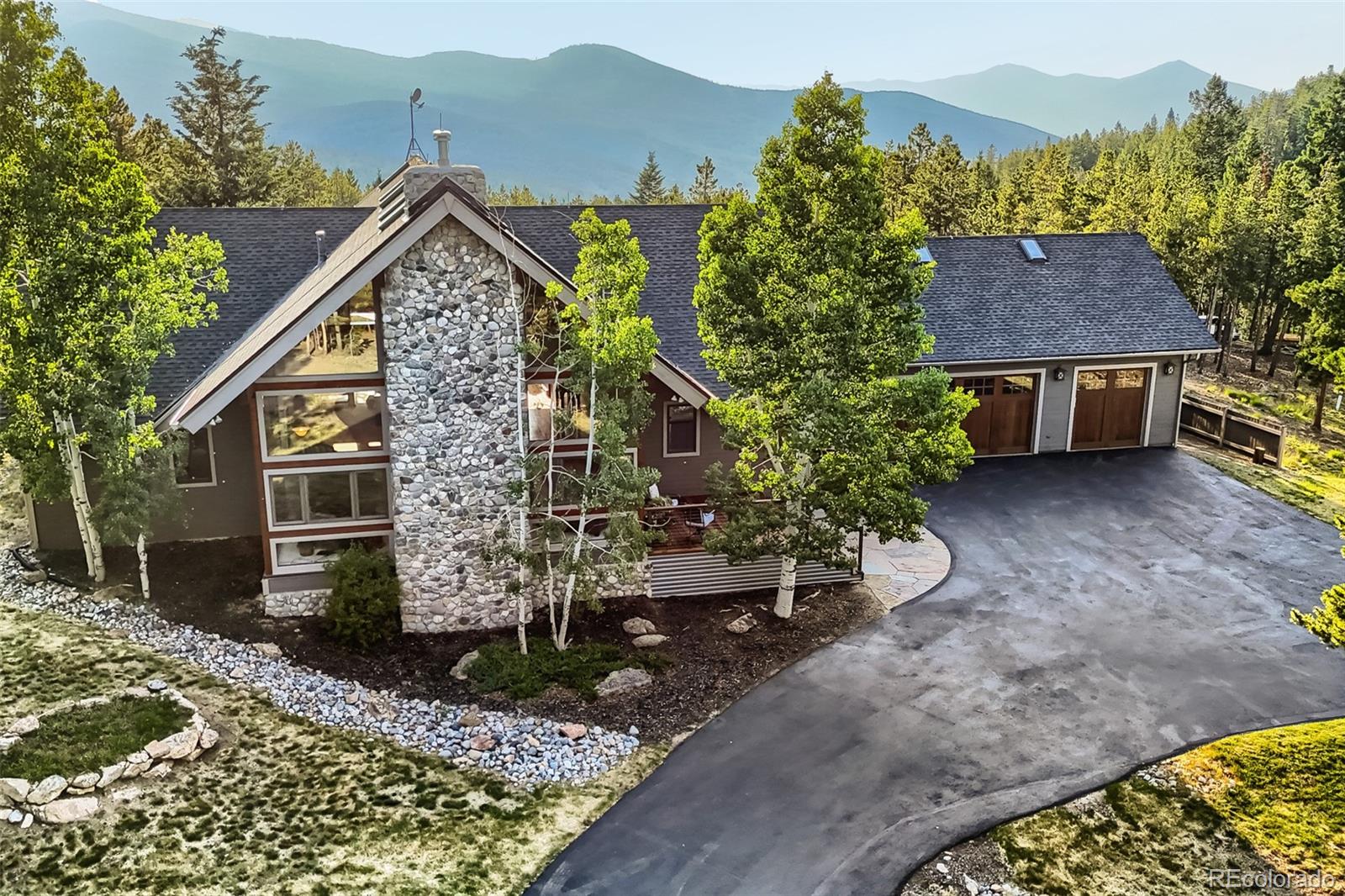 conifer&nbsp; House Search Picture
