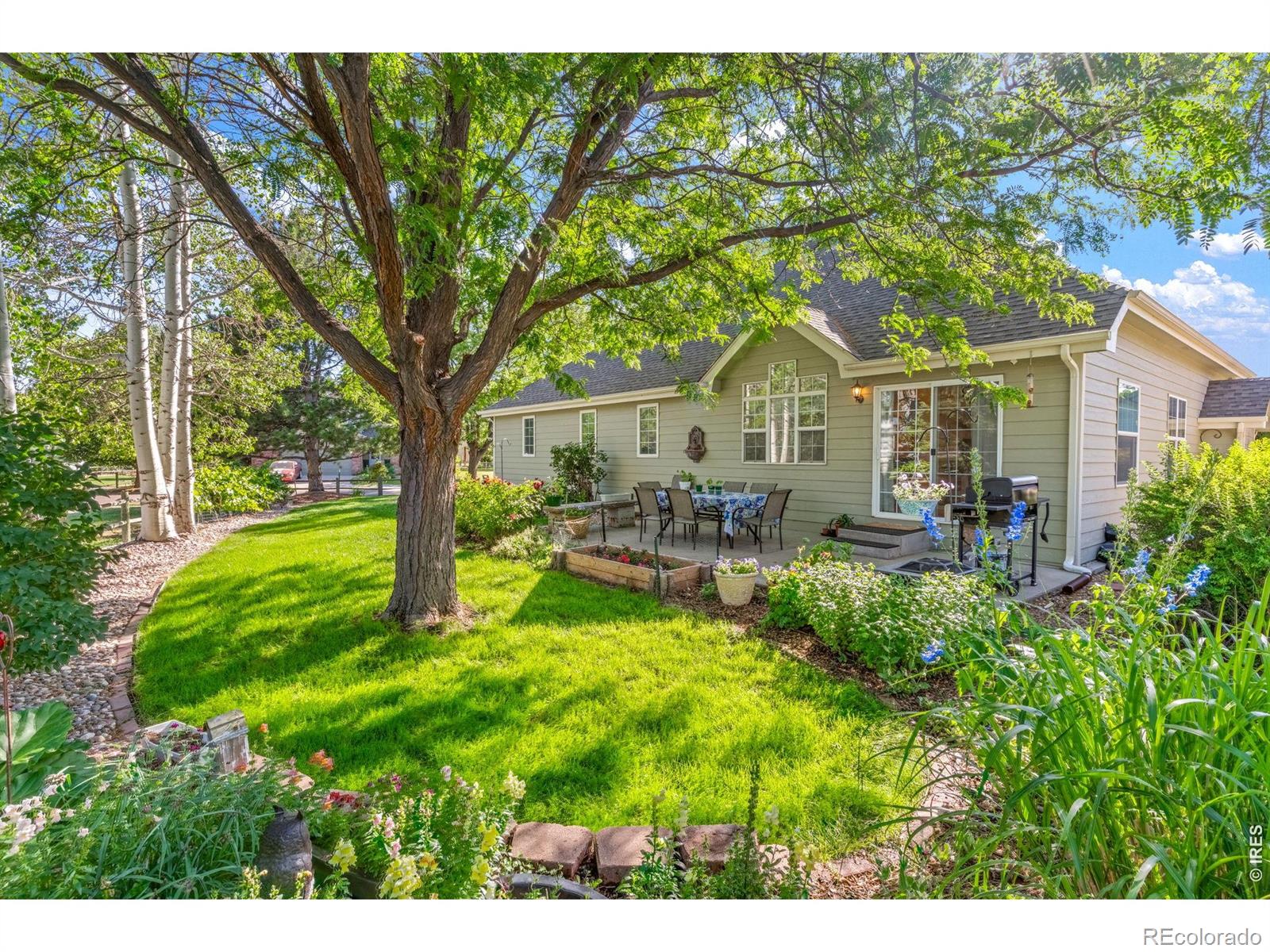 312  Holladay Court, loveland&nbsp; House Search MLS Picture