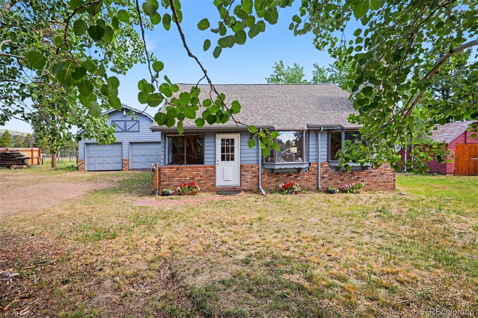 conifer&nbsp; House Search Picture