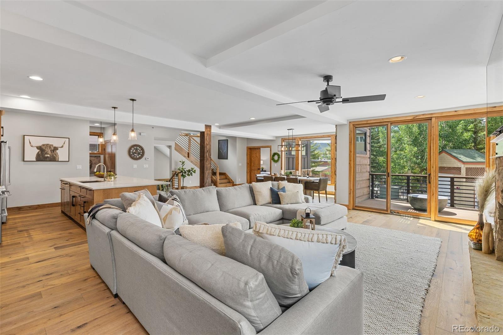 118  Galena Street, frisco&nbsp; House Search MLS Picture