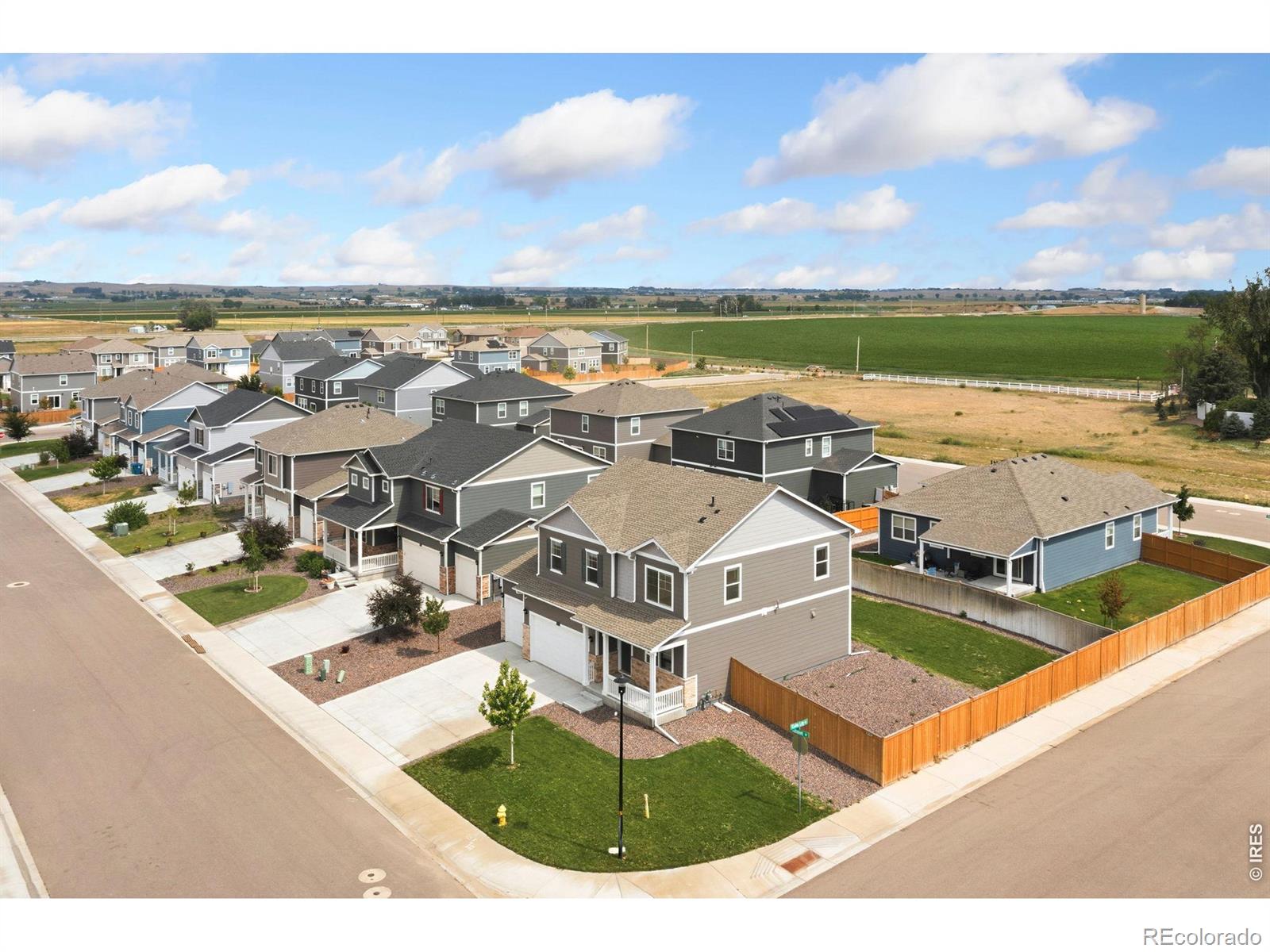 3713  Catmint Street, wellington&nbsp; House Search MLS Picture