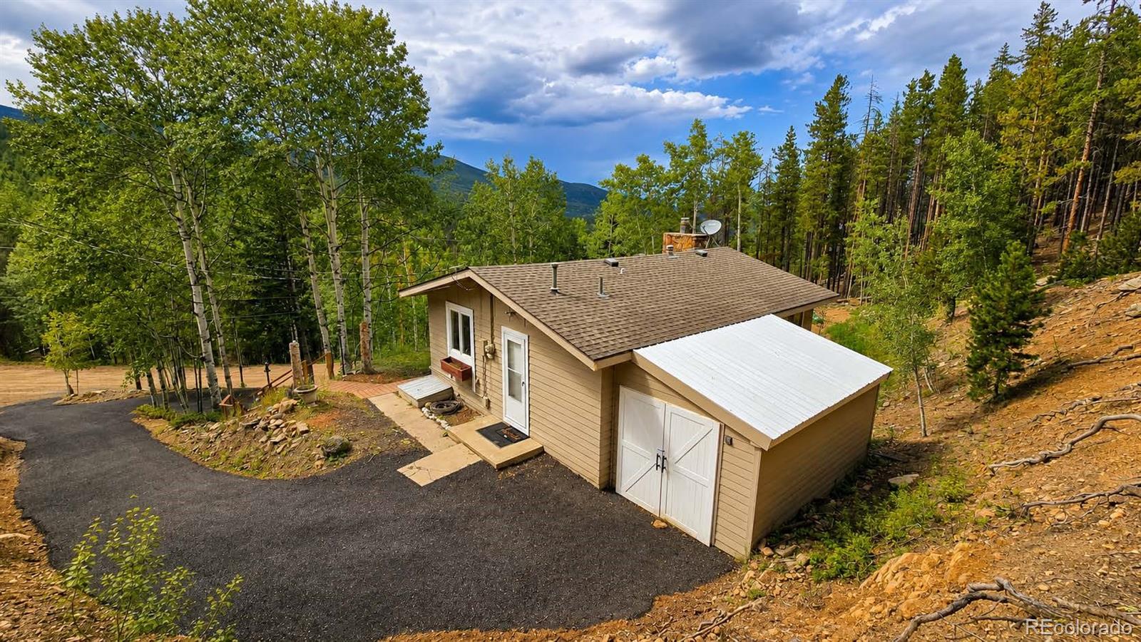 conifer&nbsp; House Search Picture