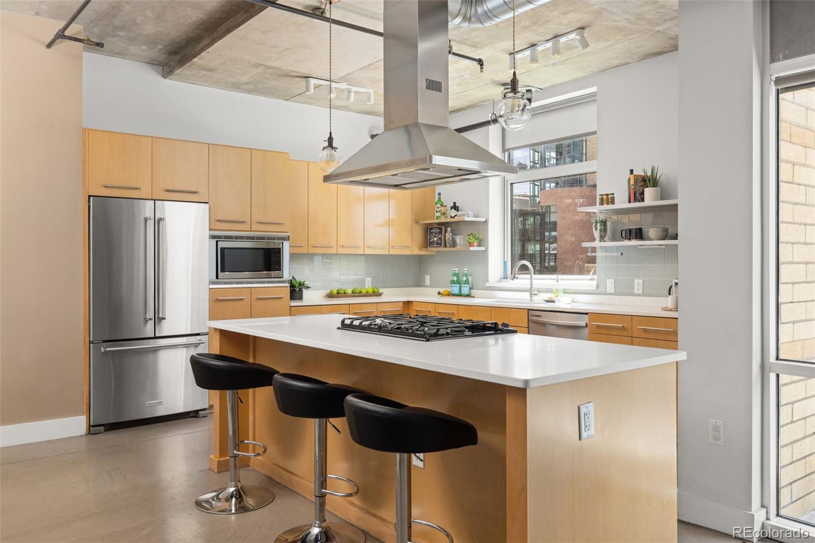 1610  Little Raven Street, denver&nbsp; House Search MLS Picture