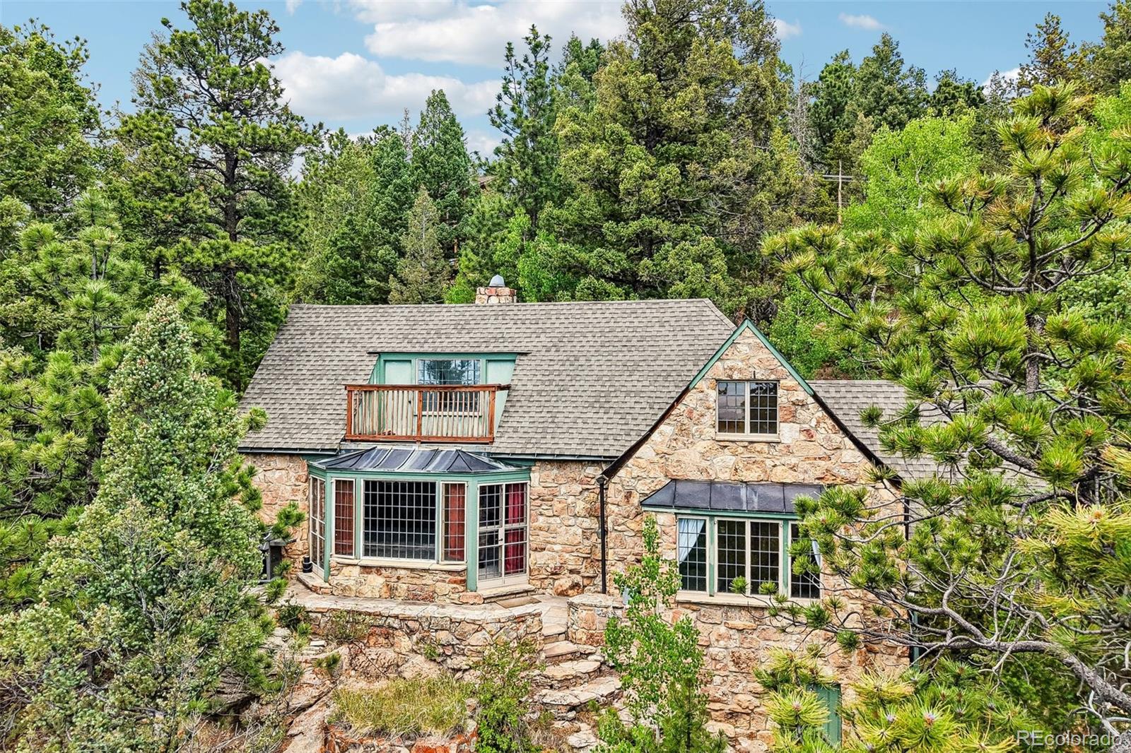 conifer&nbsp; House Search Picture