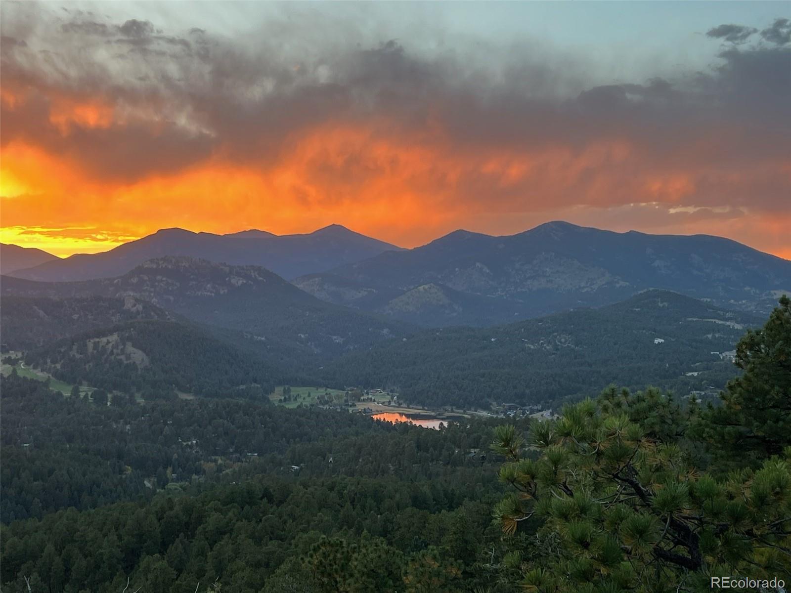 evergreen&nbsp; House Search Picture