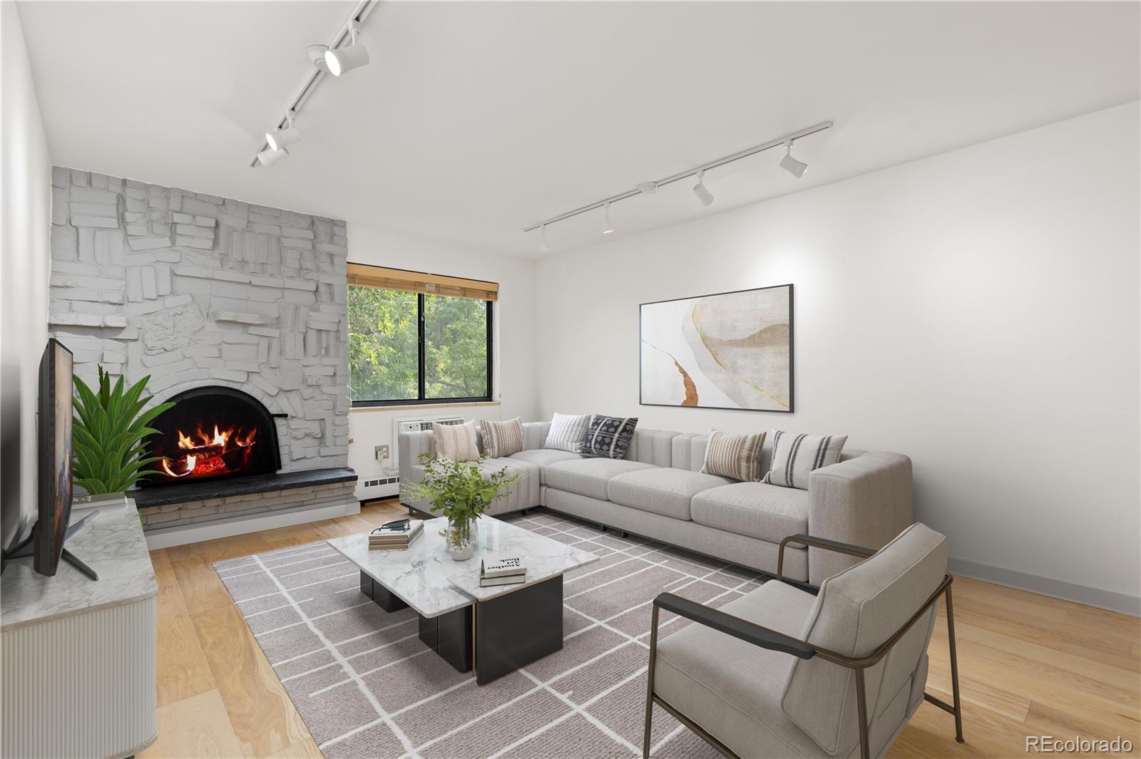1008 N Corona Street, denver&nbsp; House Search MLS Picture