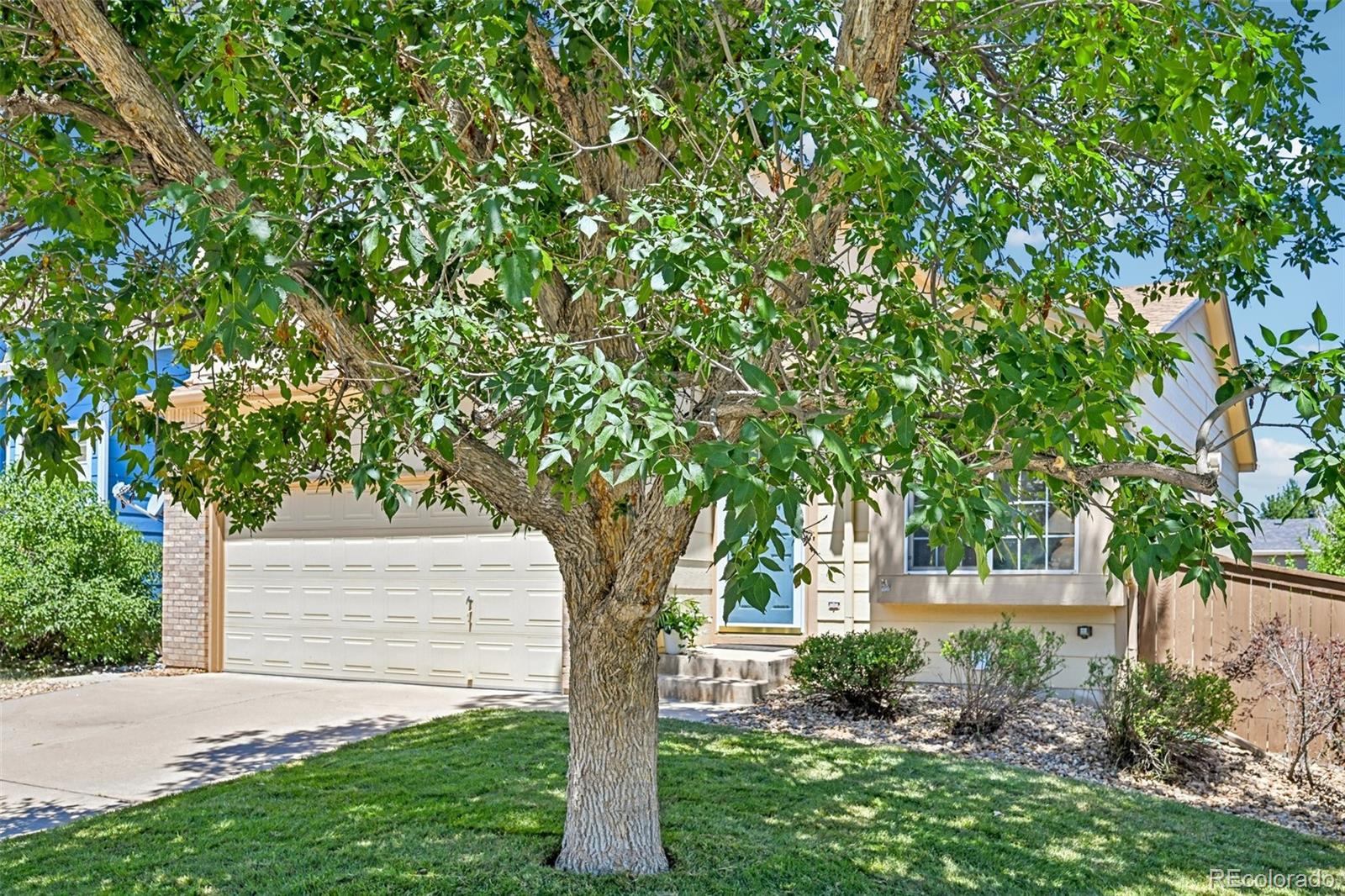 2531  Cove Creek Court, littleton&nbsp; House Search MLS Picture