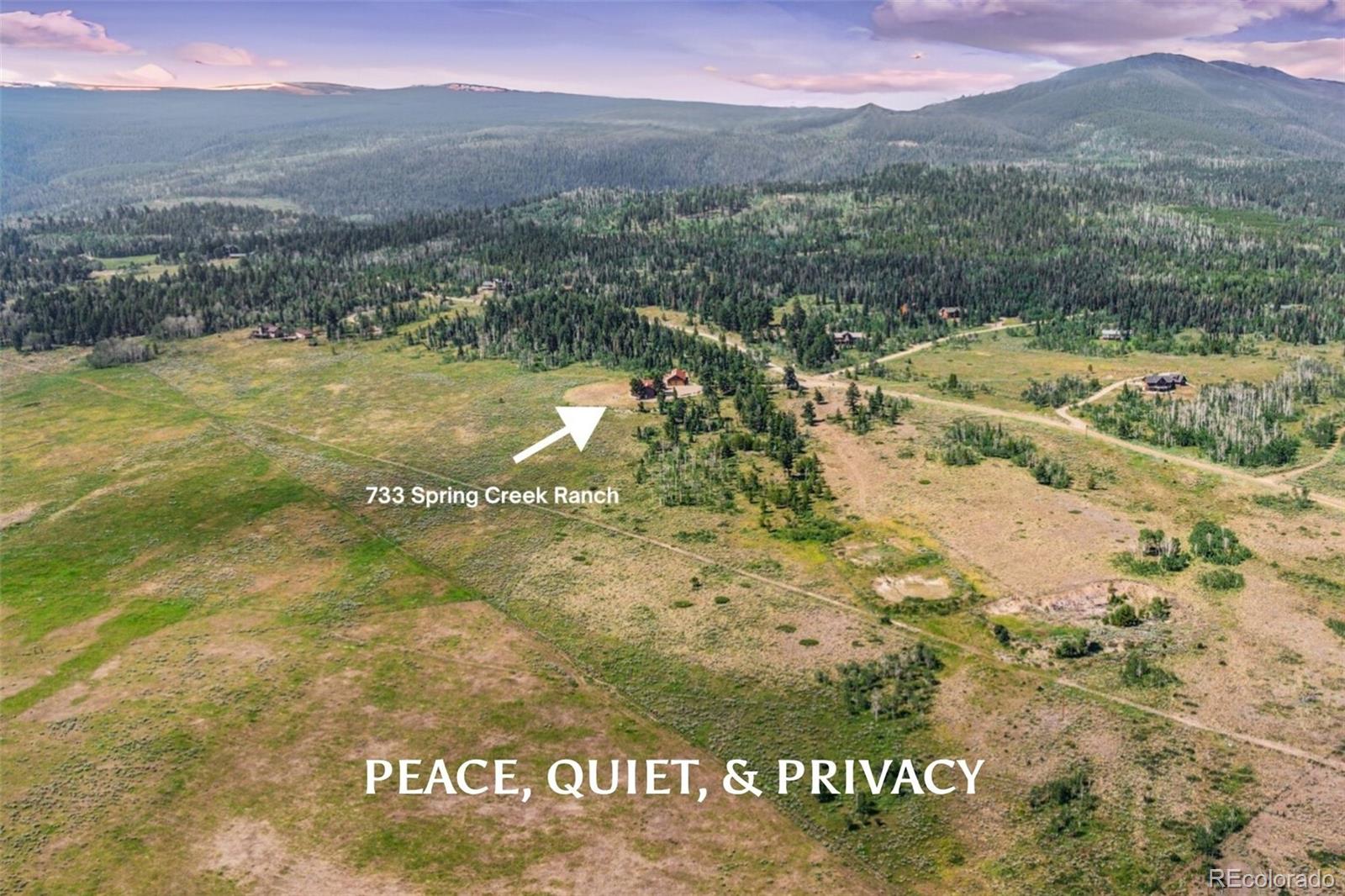 733  Spring Creek Ranch Road, silverthorne&nbsp; House Search MLS Picture