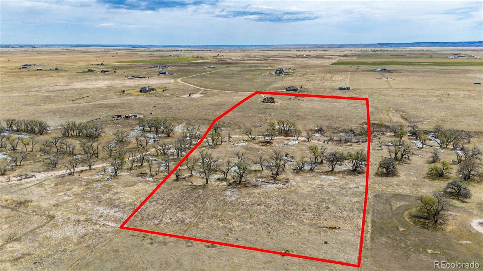 bennett&nbsp; Horse Properties Search Picture