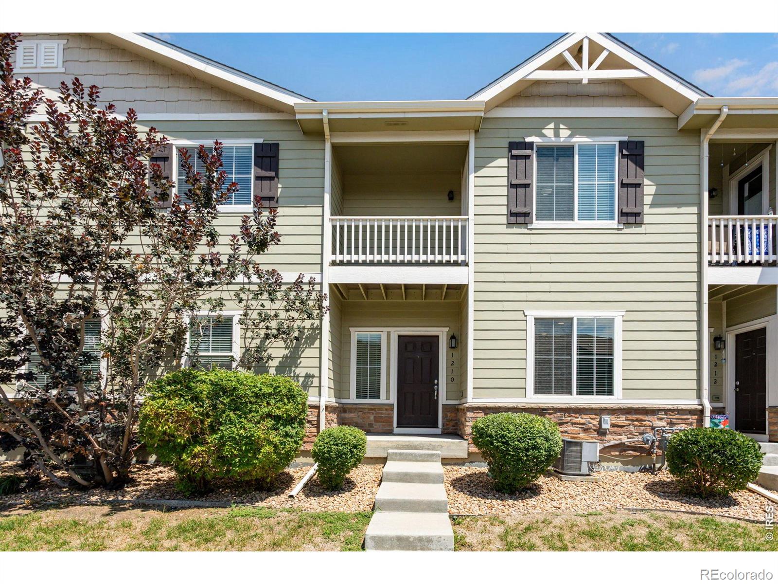 1210  Bistre Street, longmont&nbsp; House Search MLS Picture
