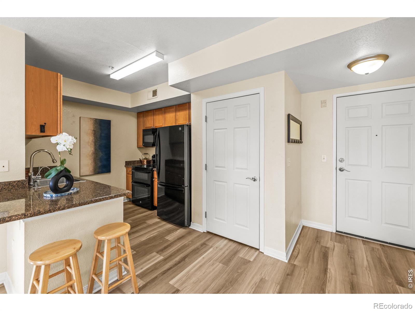 1623  Saint Paul Street, denver&nbsp; House Search MLS Picture