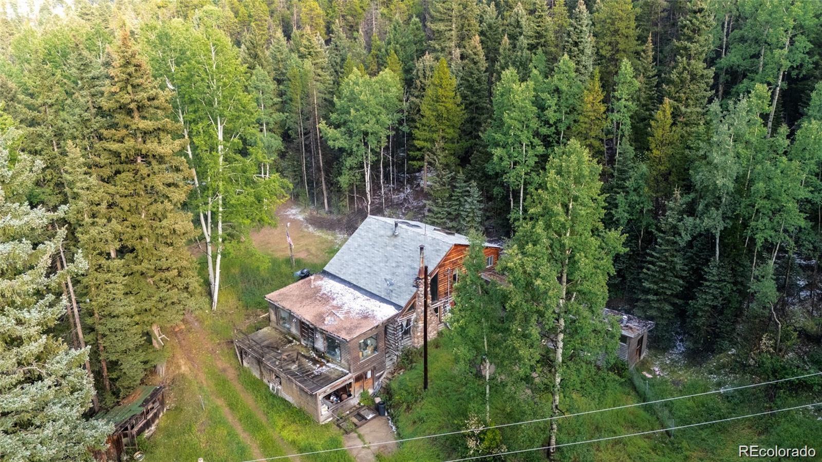 conifer&nbsp; House Search Picture