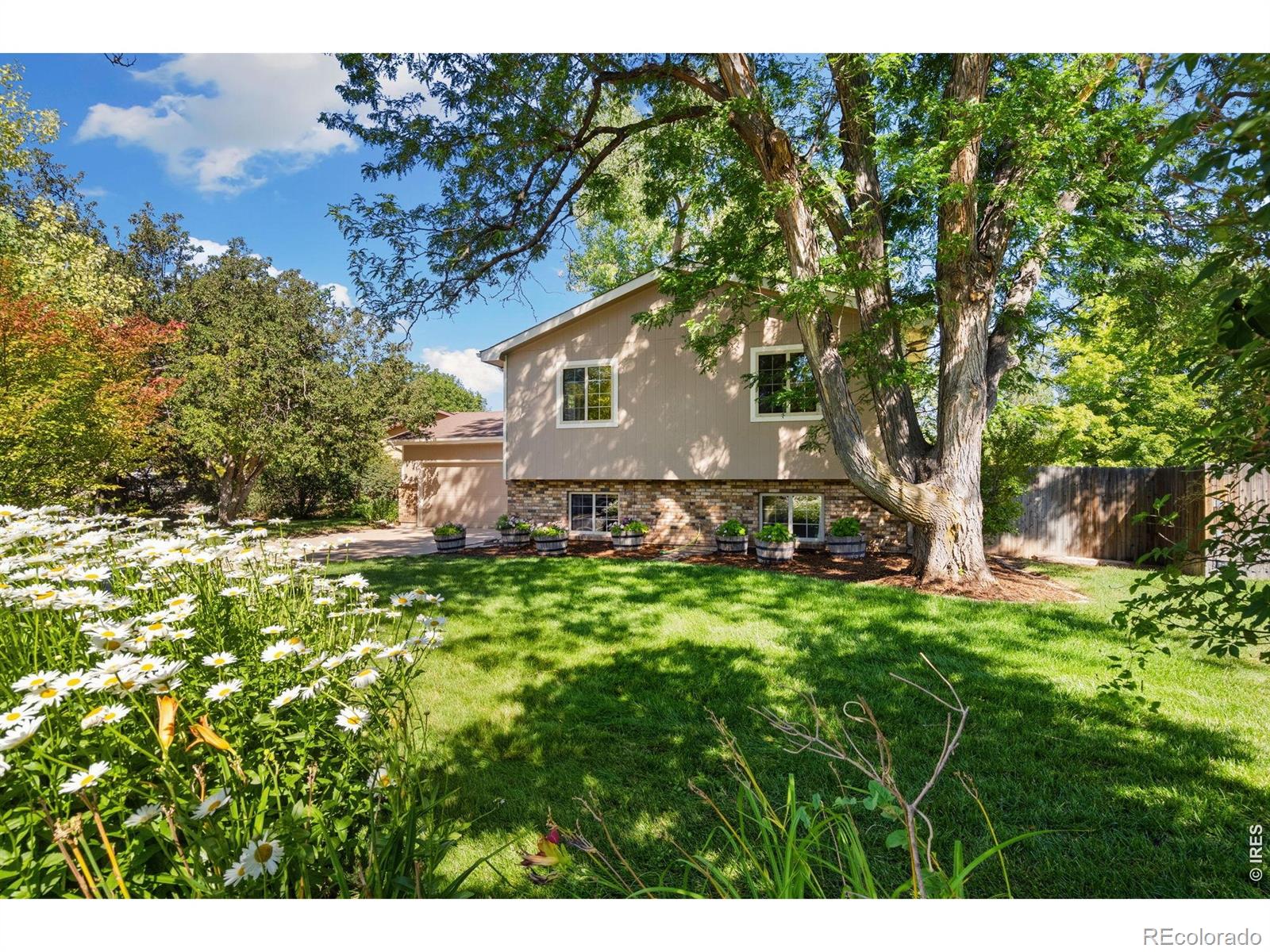 1955  Sandalwood Lane, fort collins&nbsp; House Search MLS Picture