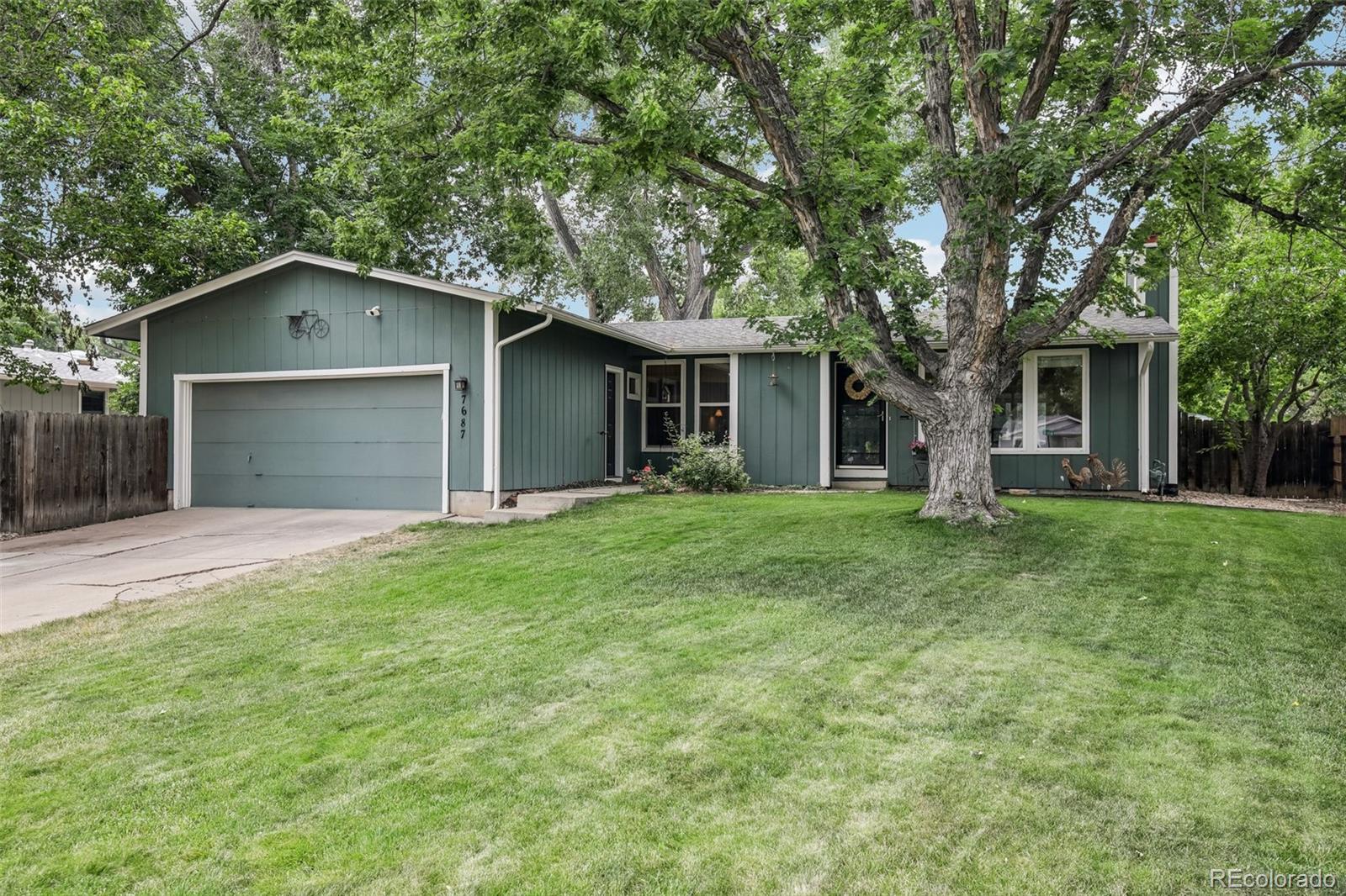 niwot&nbsp; House Search Picture