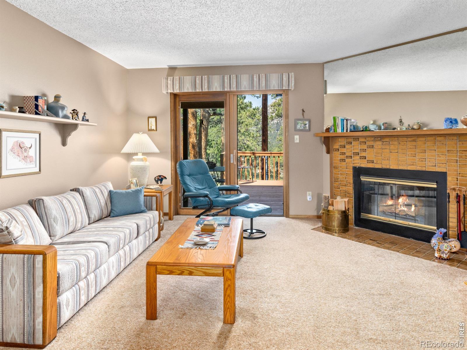 321  Big Horn Drive, estes park&nbsp; House Search MLS Picture
