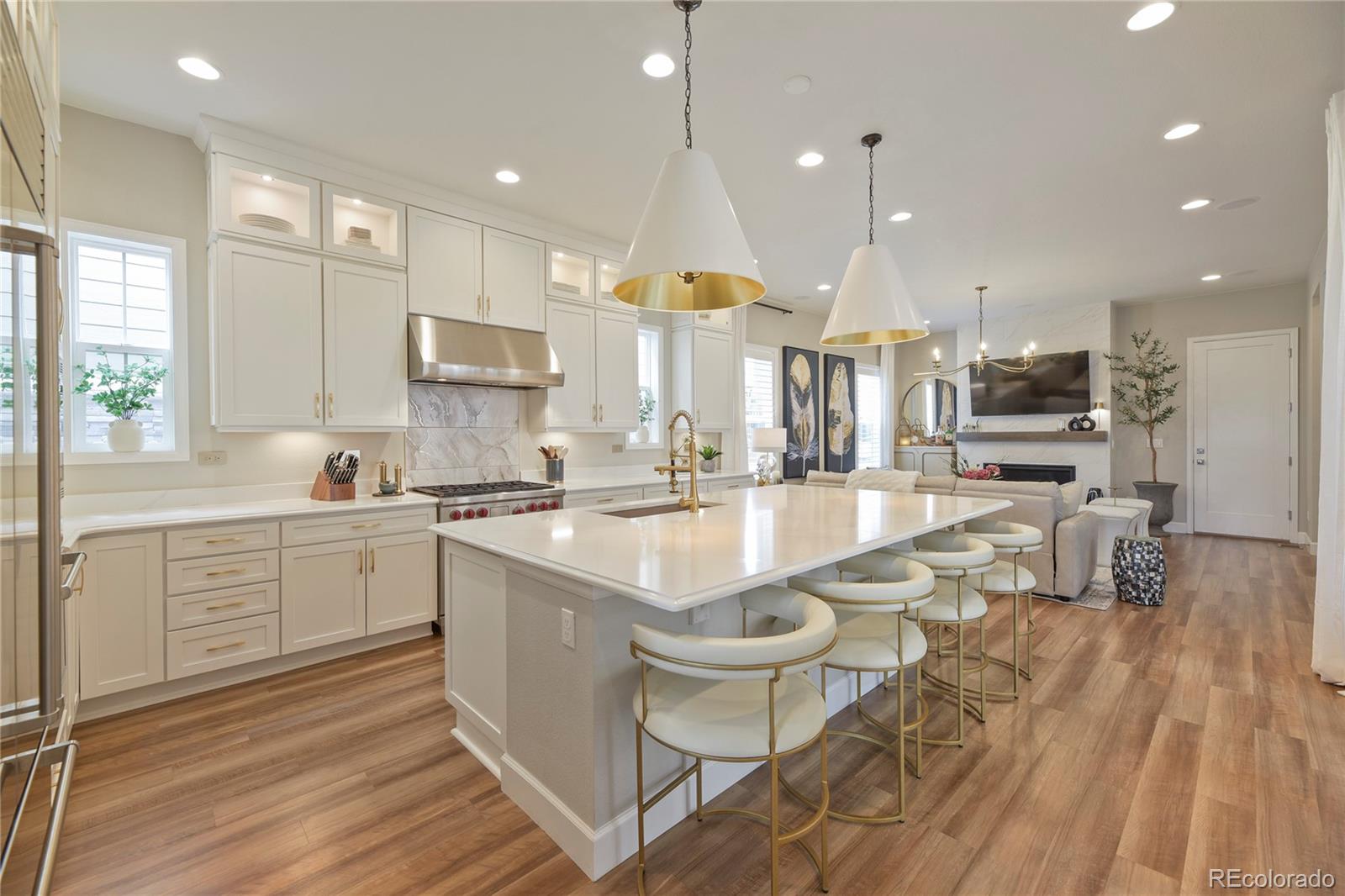 1106  Brocade Drive, littleton&nbsp; House Search MLS Picture