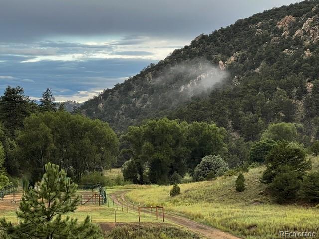 1420  Coyote Run, cotopaxi&nbsp; House Search MLS Picture