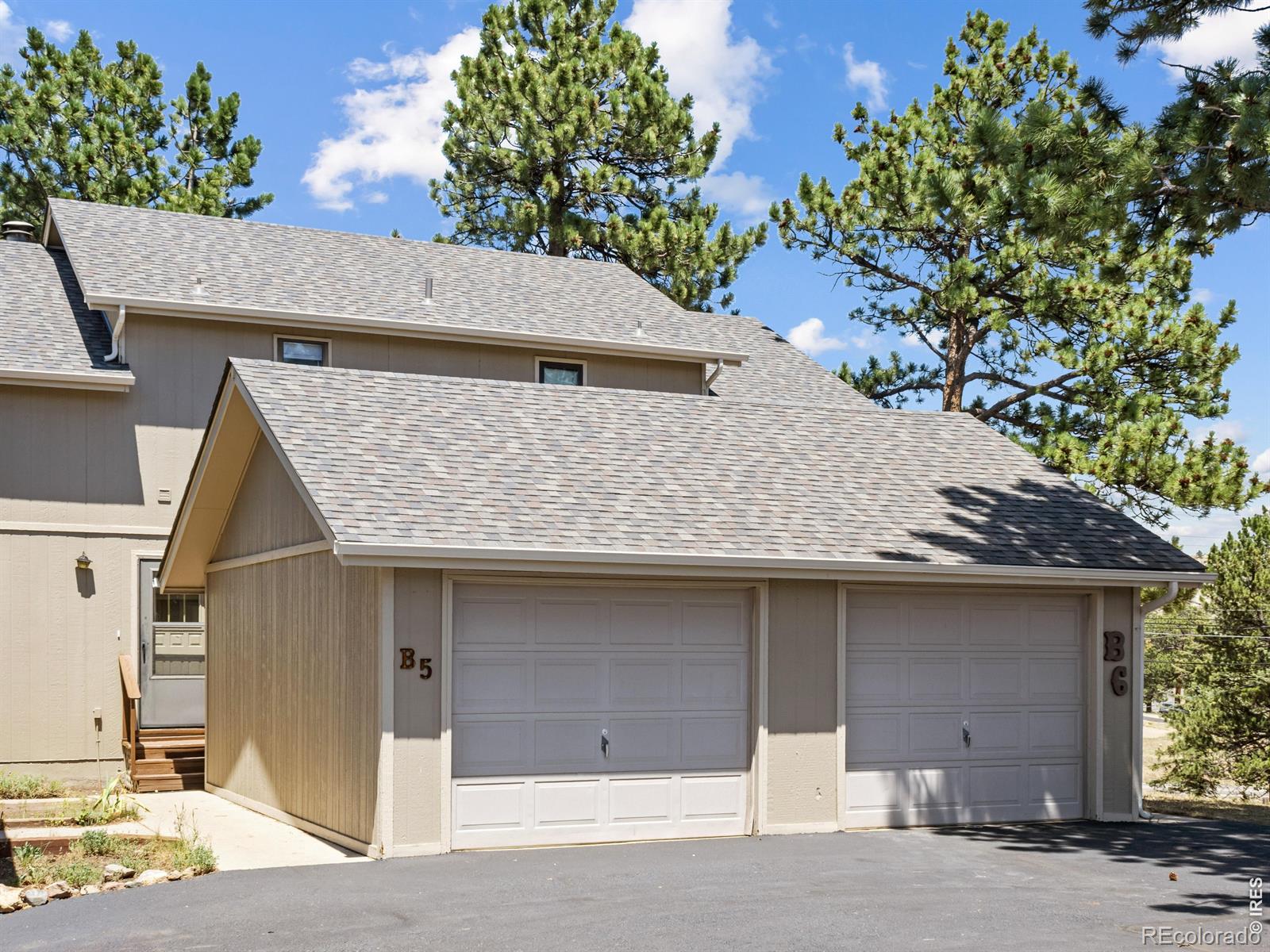 321  Big Horn Drive, estes park&nbsp; House Search MLS Picture