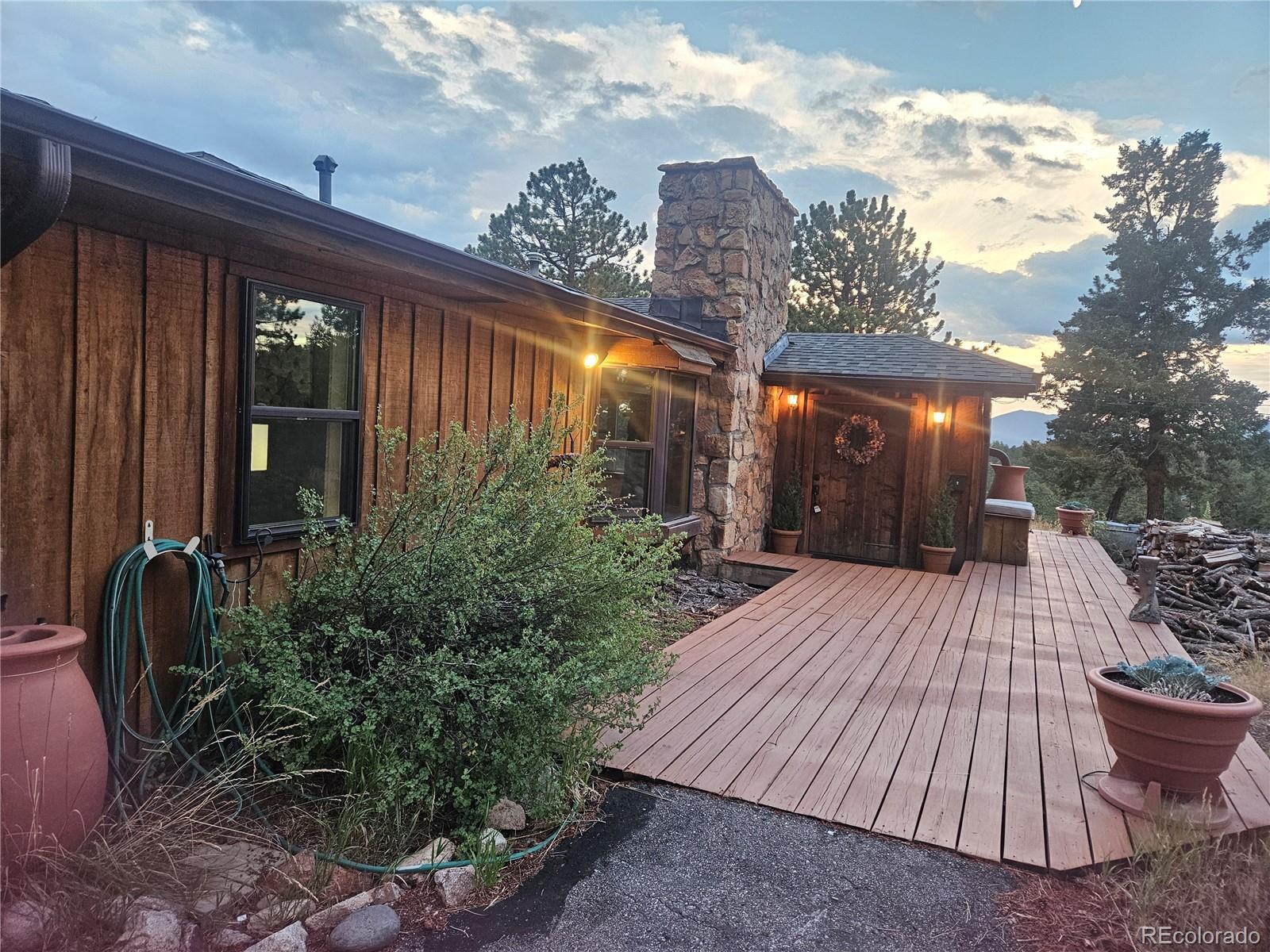 conifer&nbsp; House Search Picture