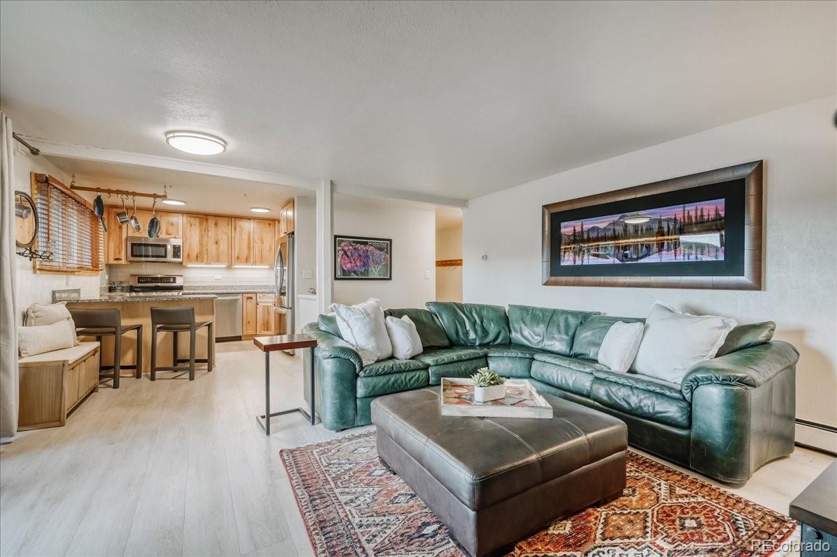 365  Salt Lick Circle, silverthorne&nbsp; House Search MLS Picture
