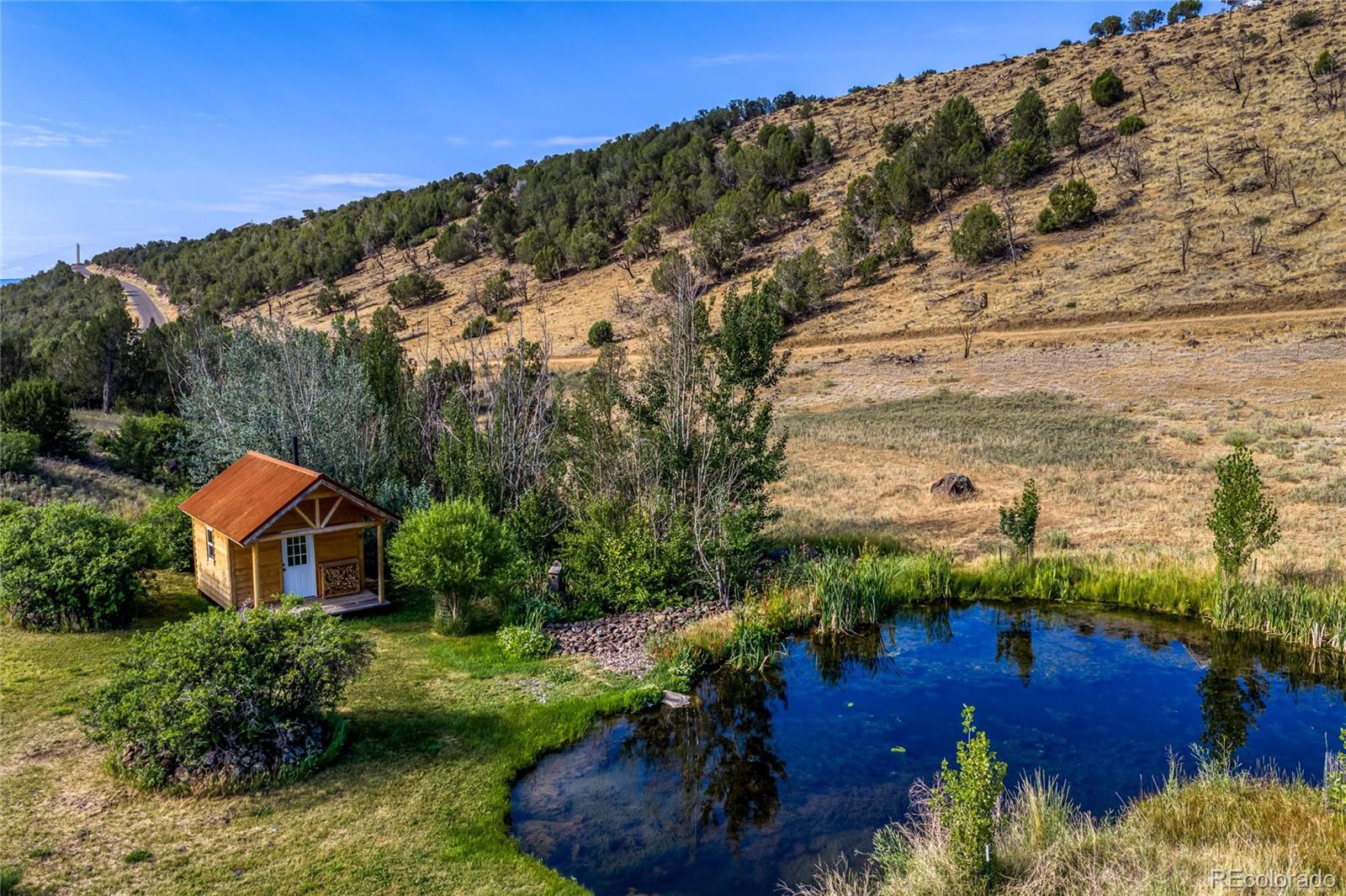 13507  Lonesome Cove Road, hotchkiss&nbsp; House Search MLS Picture
