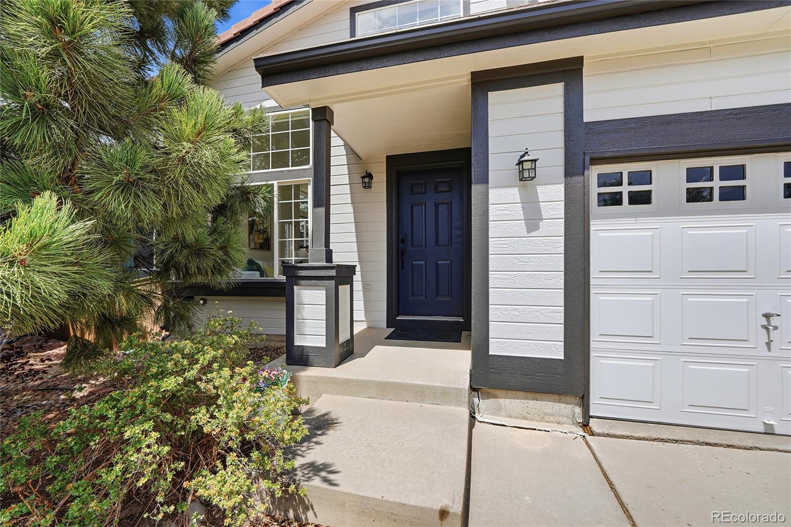 9130  Anasazi Indian Trail, highlands ranch&nbsp; House Search MLS Picture