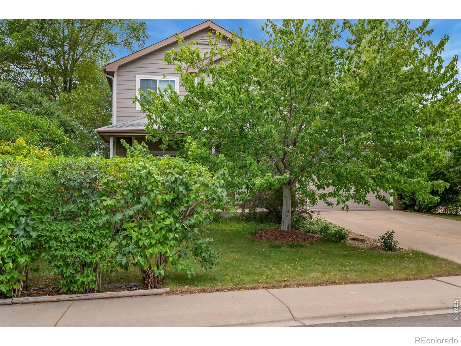 4153  Divide Drive, loveland&nbsp; House Search MLS Picture
