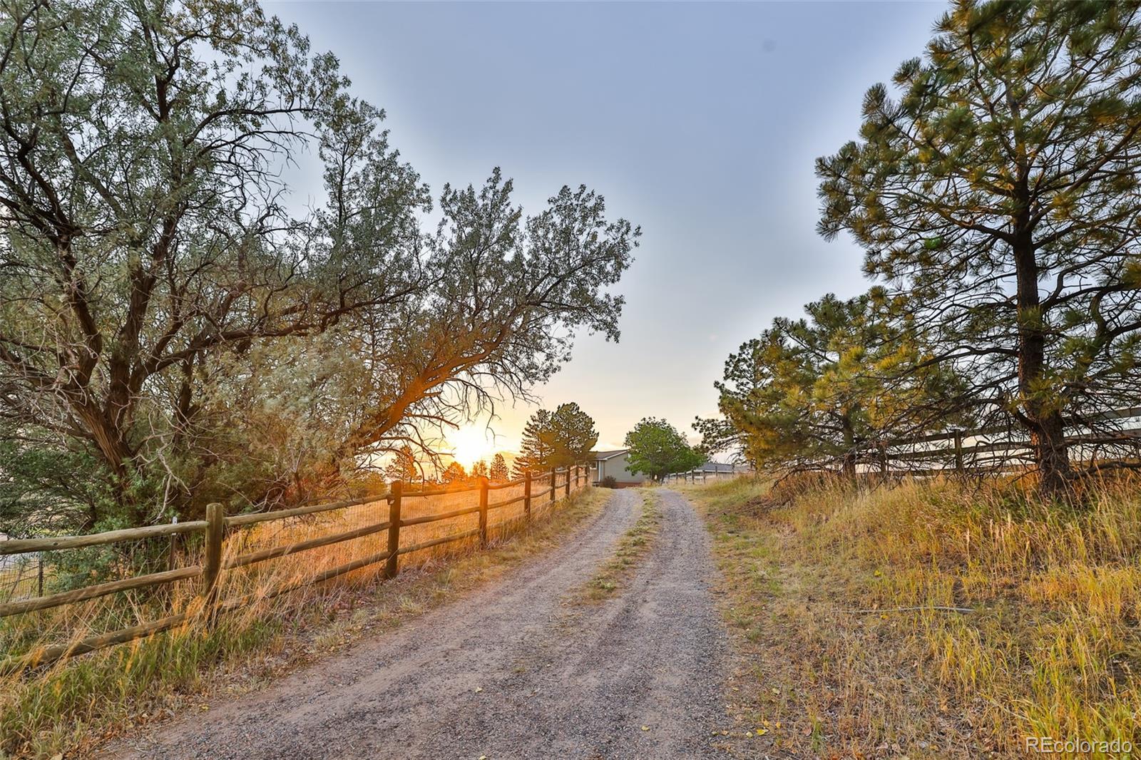 41820  Madrid Drive, parker&nbsp; House Search MLS Picture