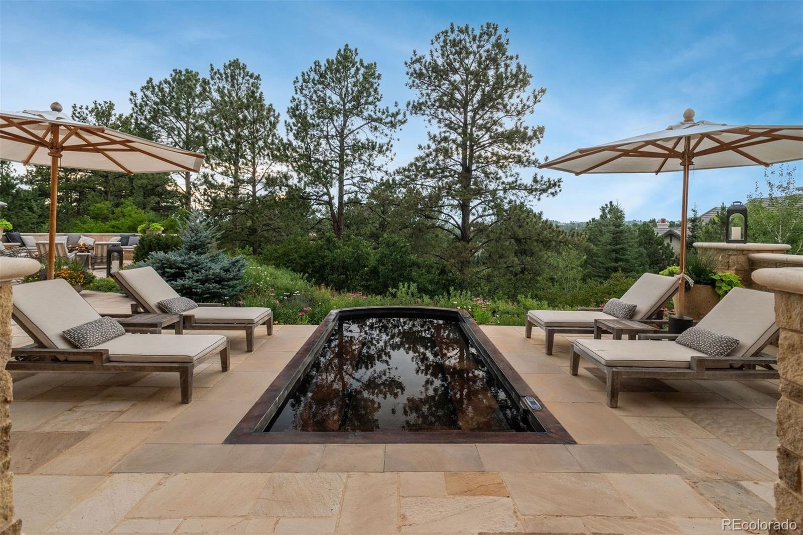 1125  Northwood Court, castle rock&nbsp; House Search MLS Picture