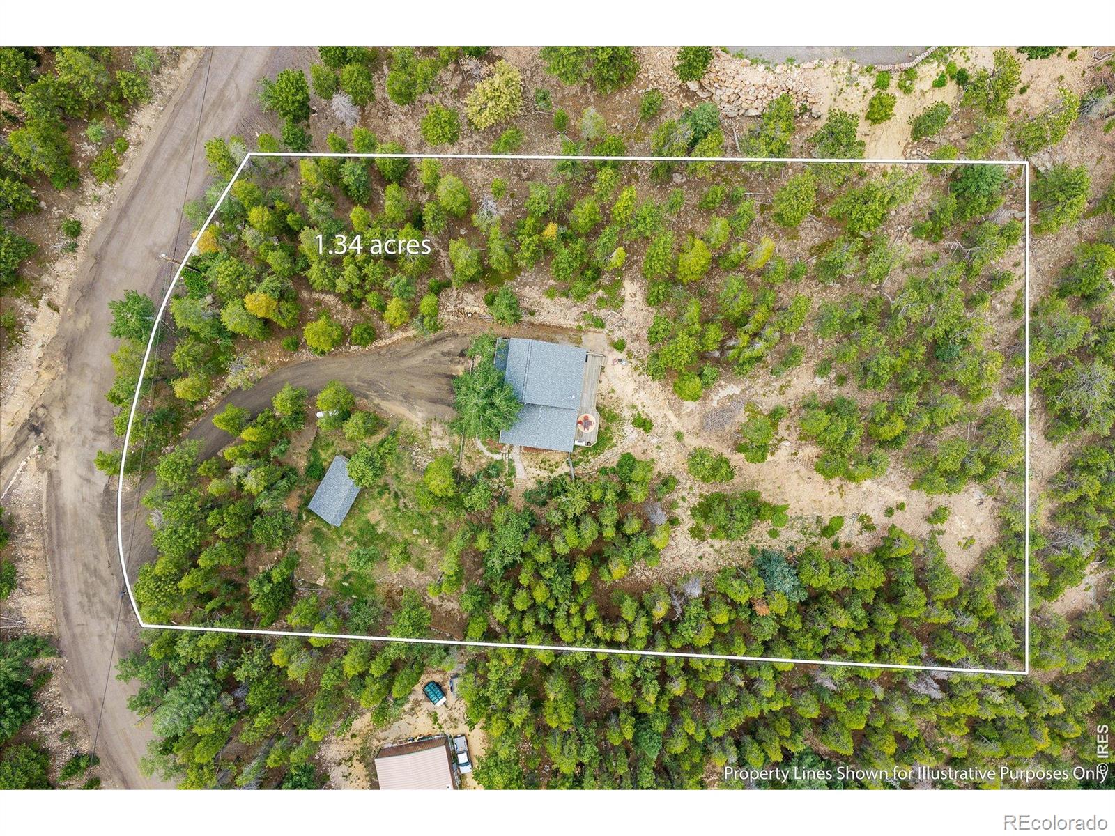 golden&nbsp; Horse Properties Search Picture