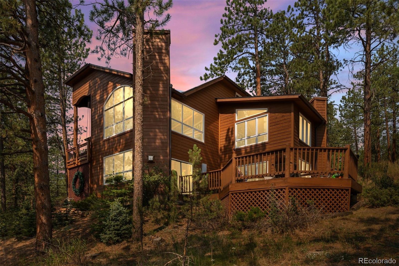conifer&nbsp; House Search Picture