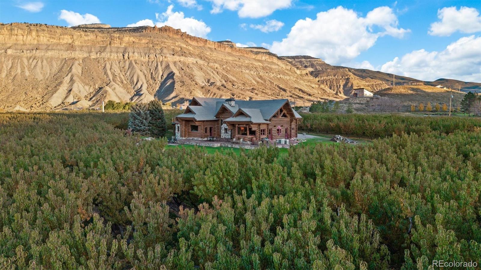 3875  F 3/4 Road, palisade&nbsp; House Search MLS Picture