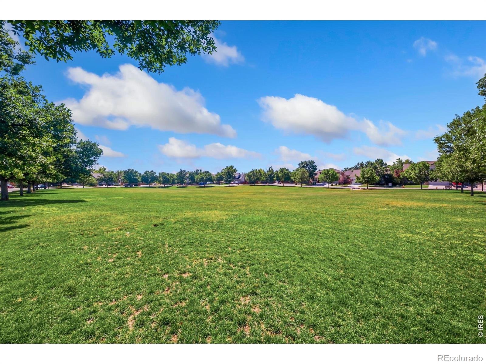 1565  Bengal Avenue, loveland&nbsp; House Search MLS Picture