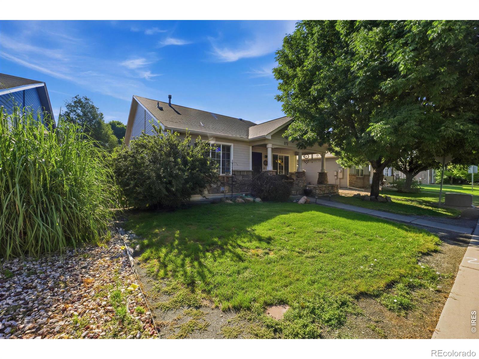 372  Cardinal Avenue, loveland&nbsp; House Search MLS Picture