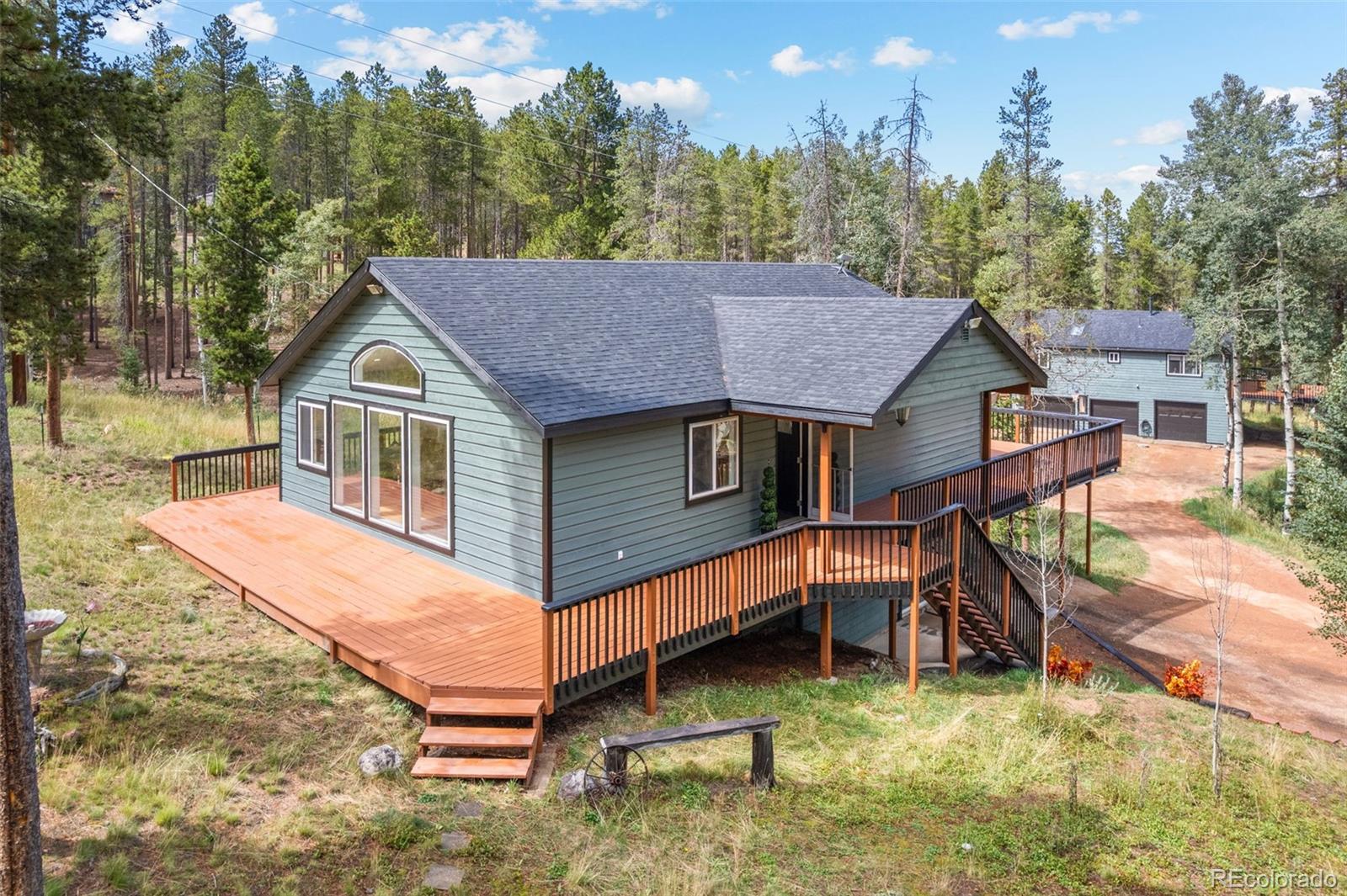 conifer&nbsp; House Search Picture