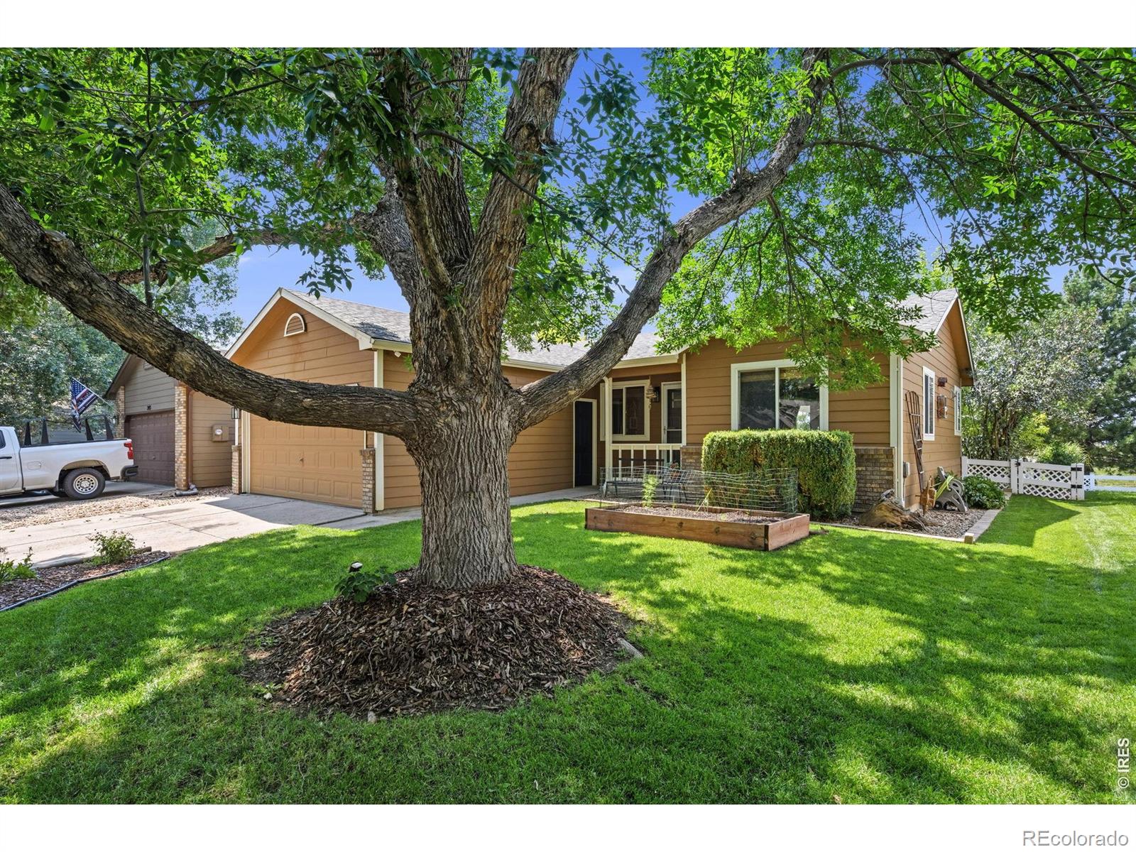 259  Calcite Court, loveland&nbsp; House Search MLS Picture