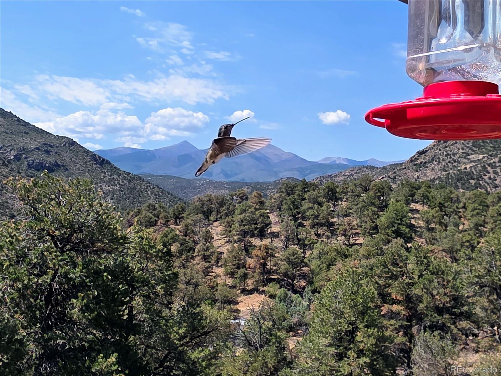 cotopaxi&nbsp; House Search Picture