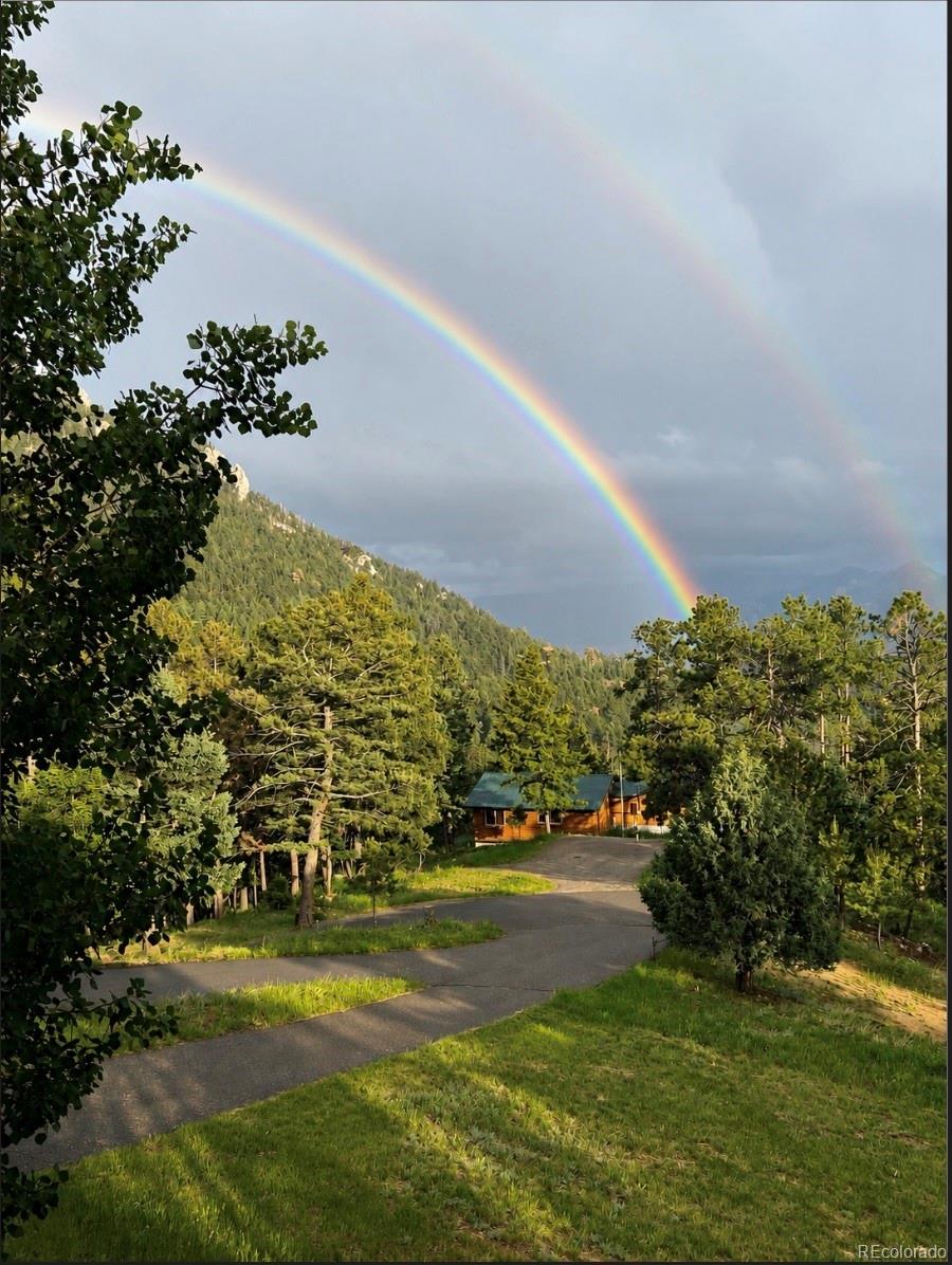 conifer&nbsp; House Search Picture