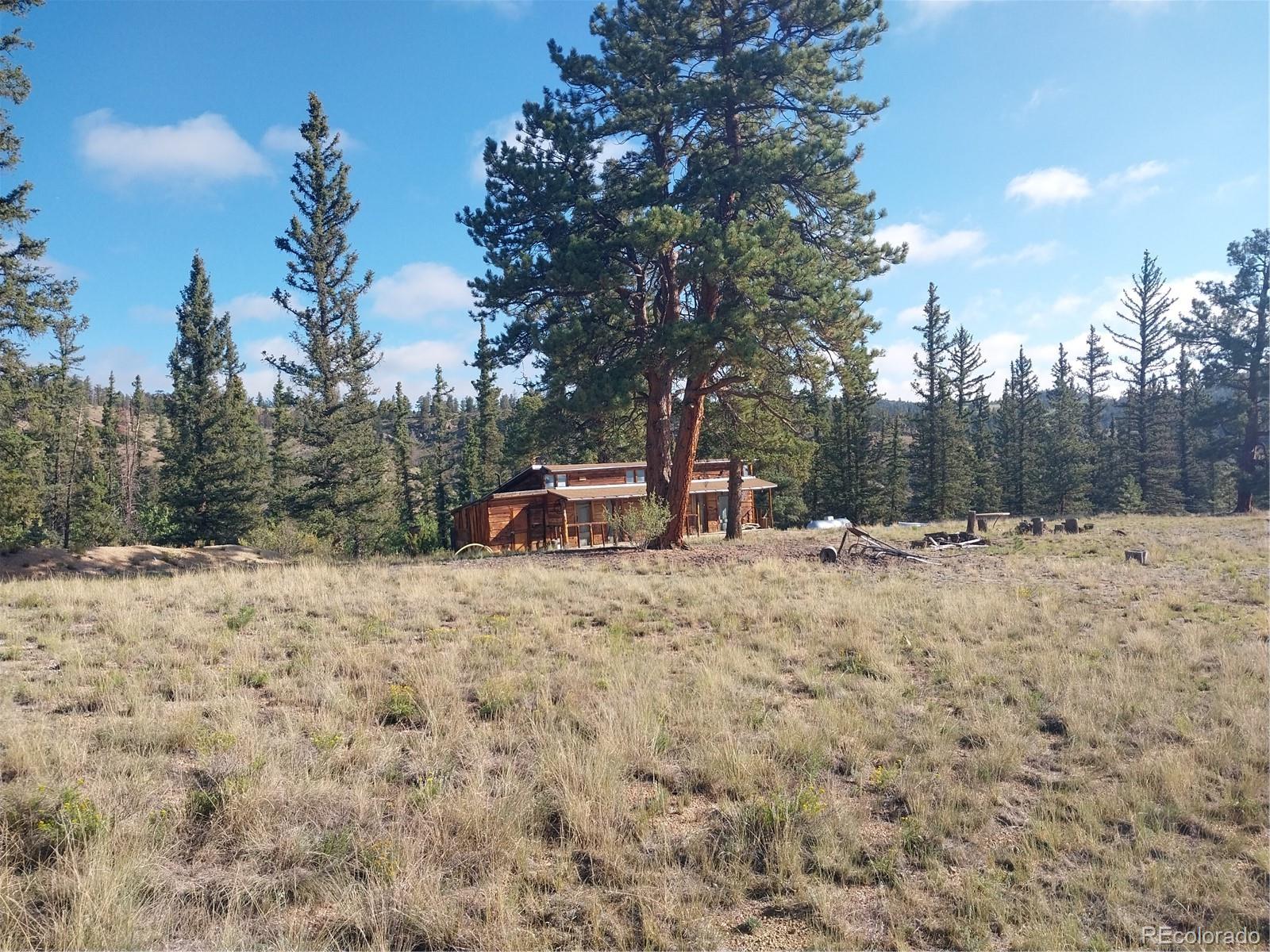 1167  Latigo Loop, hartsel&nbsp; House Search MLS Picture